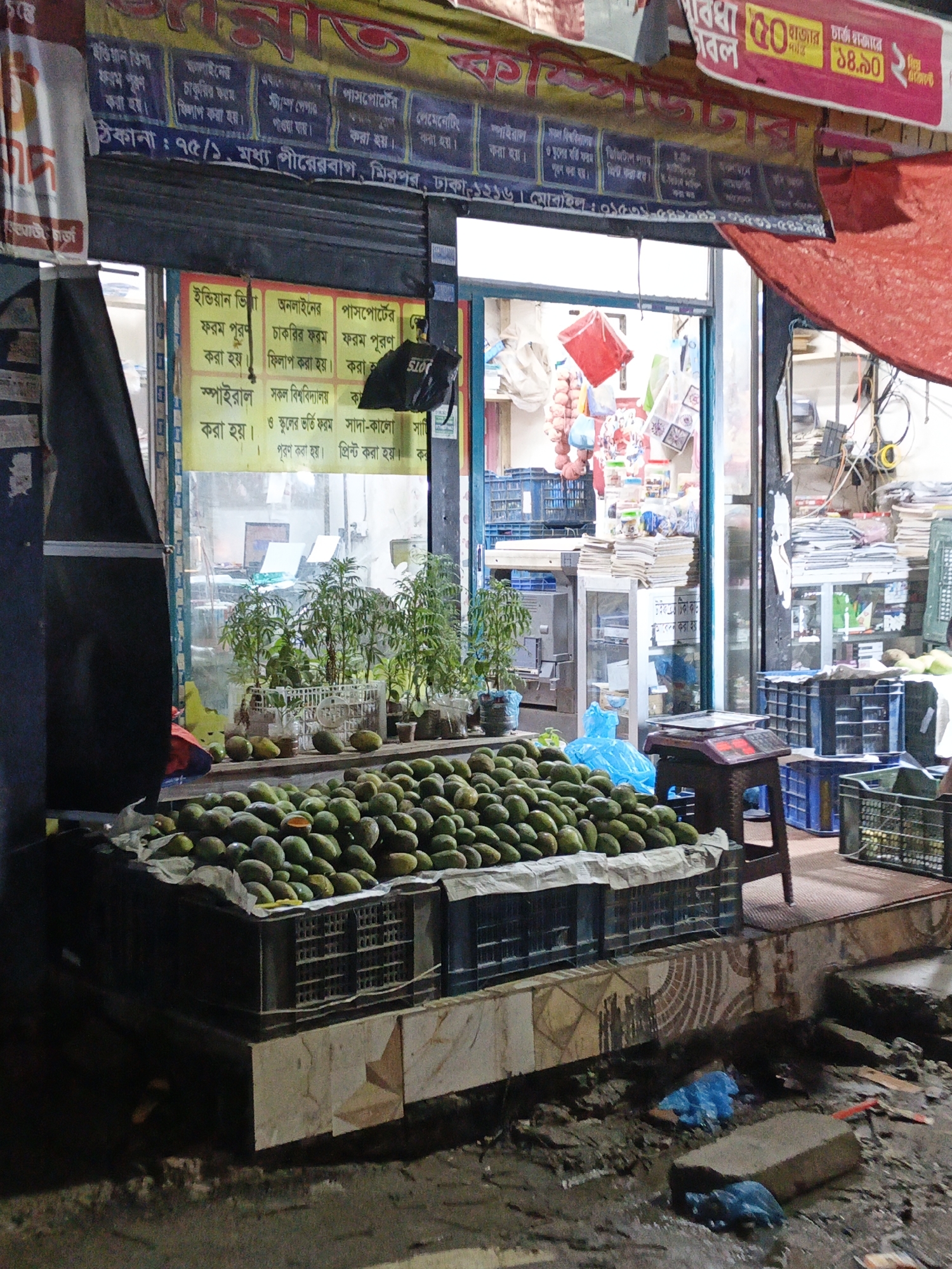 This image depicts an outdoor fruit stall in Dhaka, Bangladesh, likely located in a commercial area given the signage and presence of stacked goods. The foreground is dominated by a large quantity of green mangoes arranged in crates on a raised platform. A weighing scale sits on a wooden stool next to the mangoes. Behind the stall, a storefront is visible with posters and advertisements pasted on the windows. Inside, the space appears cluttered with shelves, boxes, and various items, suggesting it might be a combined shop and storage area. The ground in front of the stall is wet and muddy, with some discarded blue plastic bags and debris, indicating recent rain or poor drainage. The overall impression is that of a typical street-side market scene in Dhaka, characterized by vibrant commerce amidst the urban environment.