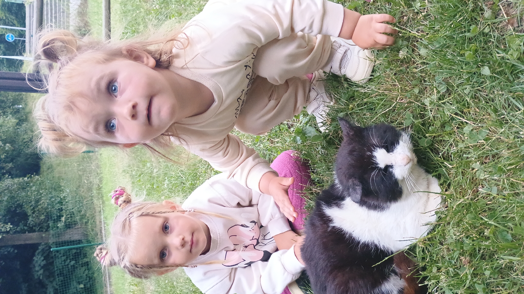 In Sokolov, Czechia, two young girls and a black and white cat are pictured outdoors on a grassy area. The girl on the left, with blonde hair in two braided pigtails, wears a cream-colored sweatshirt with a pink cartoon-like elephant design. She is seated and looking at the camera. The girl on the right, also with blonde hair in two buns, is crouching and looking upwards. She wears a cream-colored sweatshirt and pants. Her right hand is resting on the cat. The cat is lying on the grass, facing left, with its head turned towards the camera. The background features trees, a fence, and a wooden structure.