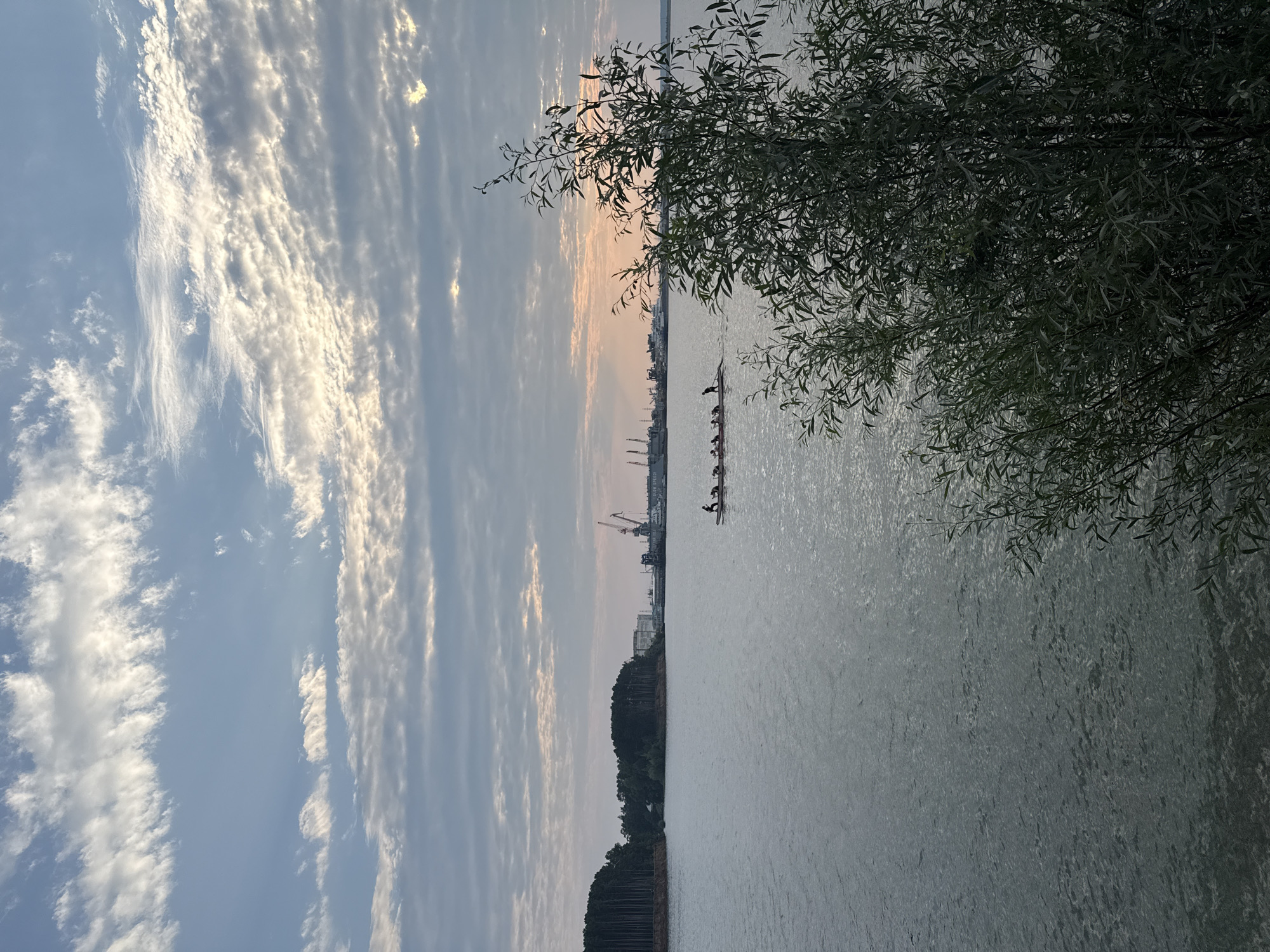This image captures a scenic view of the Kama River in Chaikovsky, Russia, under a dramatic sky filled with textured clouds. In the foreground, the branches of a lush green tree obscure a portion of the lower right quadrant. The calm river surface reflects the muted light of the overcast sky.
Mid-ground, a long, narrow boat, possibly a dragon boat, is occupied by several individuals rowing in unison, guided by a person at the stern. The boat is positioned on the river, moving away from the viewer towards the distant shore.
The background features a tree-lined coastline on the left, with a dense forest of tall, slender trees. Further into the background, across the river, is an industrial area with port facilities, including several large cranes. The sky is a mix of soft blues and grays, with streaks of light suggesting the presence of the sun, possibly near sunrise or sunset, behind the clouds. The overall atmosphere is serene and slightly industrial, with the natural beauty of the river and sky contrasting with the man-made structures on the horizon.