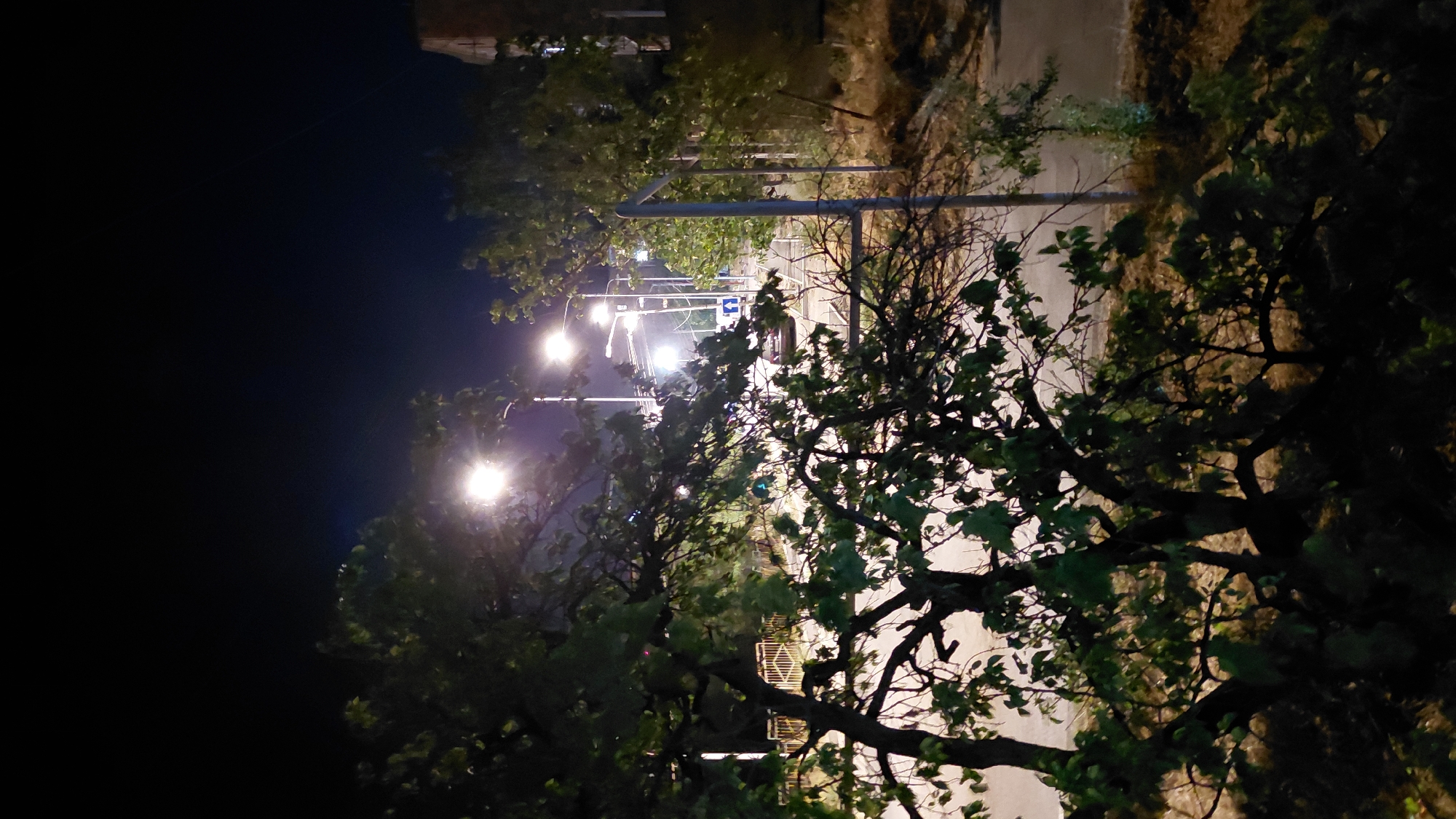 The image captures a nighttime street scene in Abovyan, Armenia, illuminated by streetlights. In the foreground, the branches of a leafy tree obscure parts of the view. Beyond the tree, a paved road runs diagonally, bordered by a metal fence on the left and dry grass and bushes on the right. Several streetlights are visible along the road, casting bright pools of light. A car is parked or moving on the road. In the background, a building with illuminated windows is partially visible on the right side of the frame. The overall atmosphere is quiet and dimly lit, characteristic of a residential or less busy urban area at night.