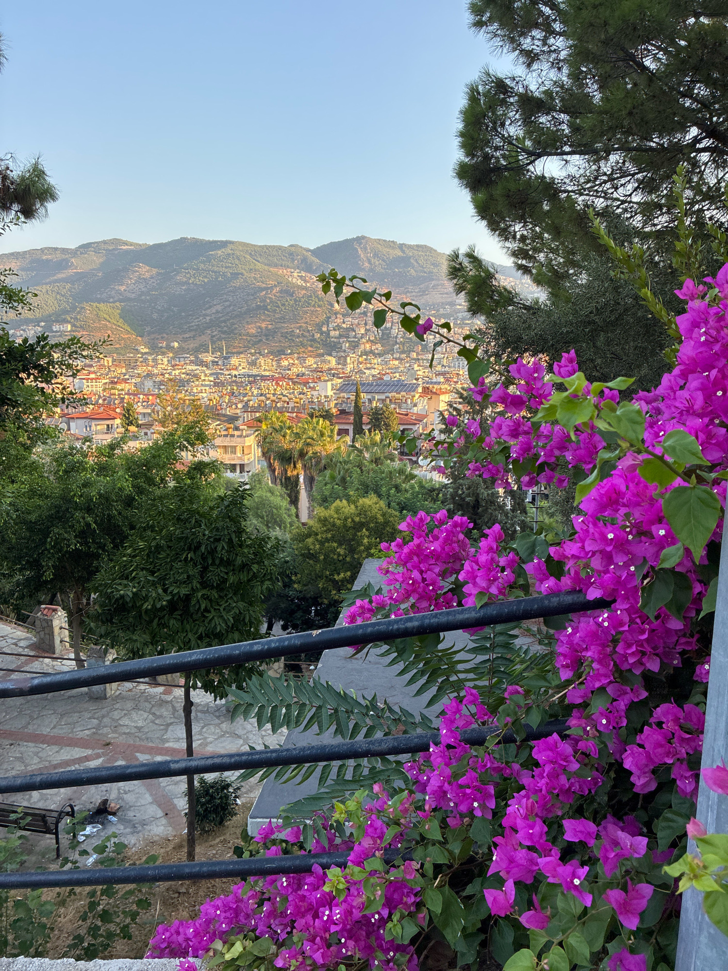 The image depicts a view of the city of Alanya, Turkey, seen from an elevated perspective. In the foreground, vibrant magenta bougainvillea flowers spill over a black metal railing. Behind the flowers and railing, a paved area with a bench and some scattered debris is visible. Further in the background, the densely built city of Alanya sprawls across the landscape, with buildings featuring red-tiled roofs and light-colored facades. The city is nestled against a backdrop of rolling, green, and sparsely vegetated hills under a clear blue sky. The scene is illuminated by warm, natural light, suggesting either early morning or late afternoon.
