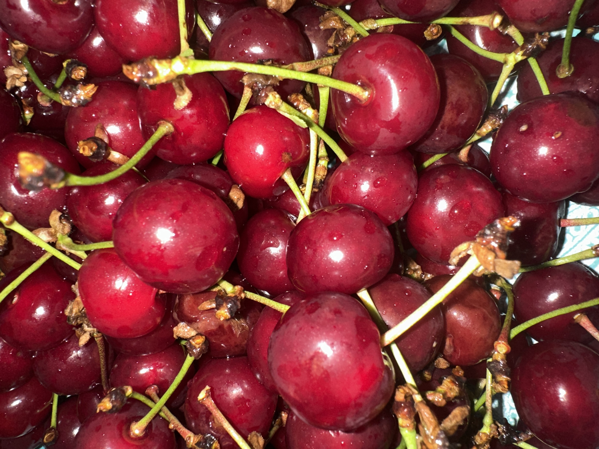 A high-angle, close-up shot shows a pile of ripe, dark red cherries with green stems. The cherries are glistening, suggesting they are fresh and possibly wet. The shallow depth of field blurs the background, focusing attention on the fruit. The lighting is bright and appears to be artificial, creating highlights on the smooth surfaces of the cherries. There is no indication of people, actions, or a specific urban environment.