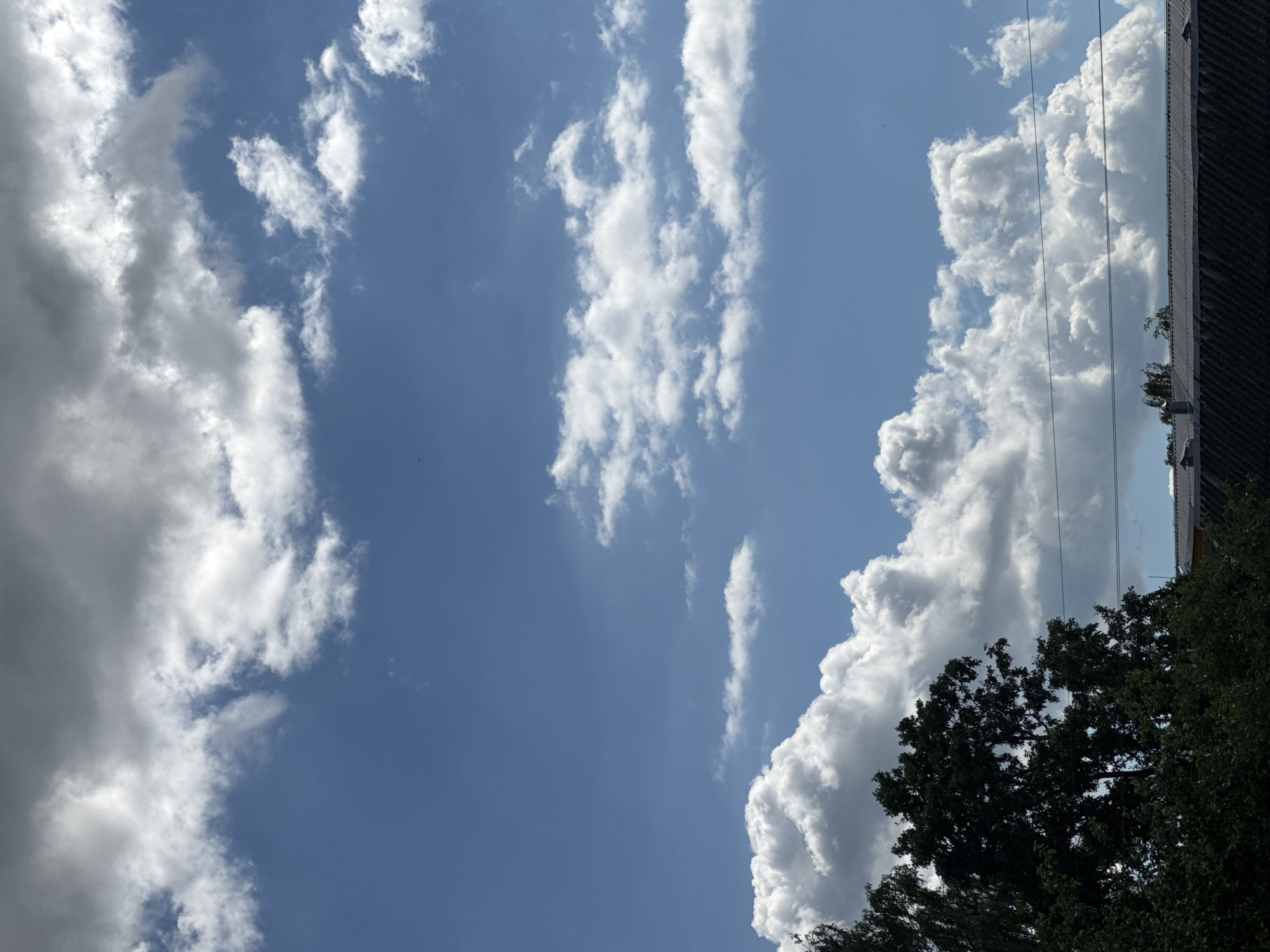 The image captures a sky filled with scattered white and gray clouds against a bright blue backdrop. The scene is oriented vertically, giving a sense of looking upwards. On the right side of the frame, a dark-colored building with a textured facade is partially visible, with power lines extending horizontally across the sky. Below the building and to the right, the dark green foliage of trees can be seen, with some branches reaching into the frame. The clouds appear puffy and dynamic, suggesting fair weather with some potential for change. The overall impression is one of an outdoor scene during the daytime, possibly in an urban or semi-urban setting given the presence of the building and power lines, with natural elements of sky and trees. There is no visible text in the image.