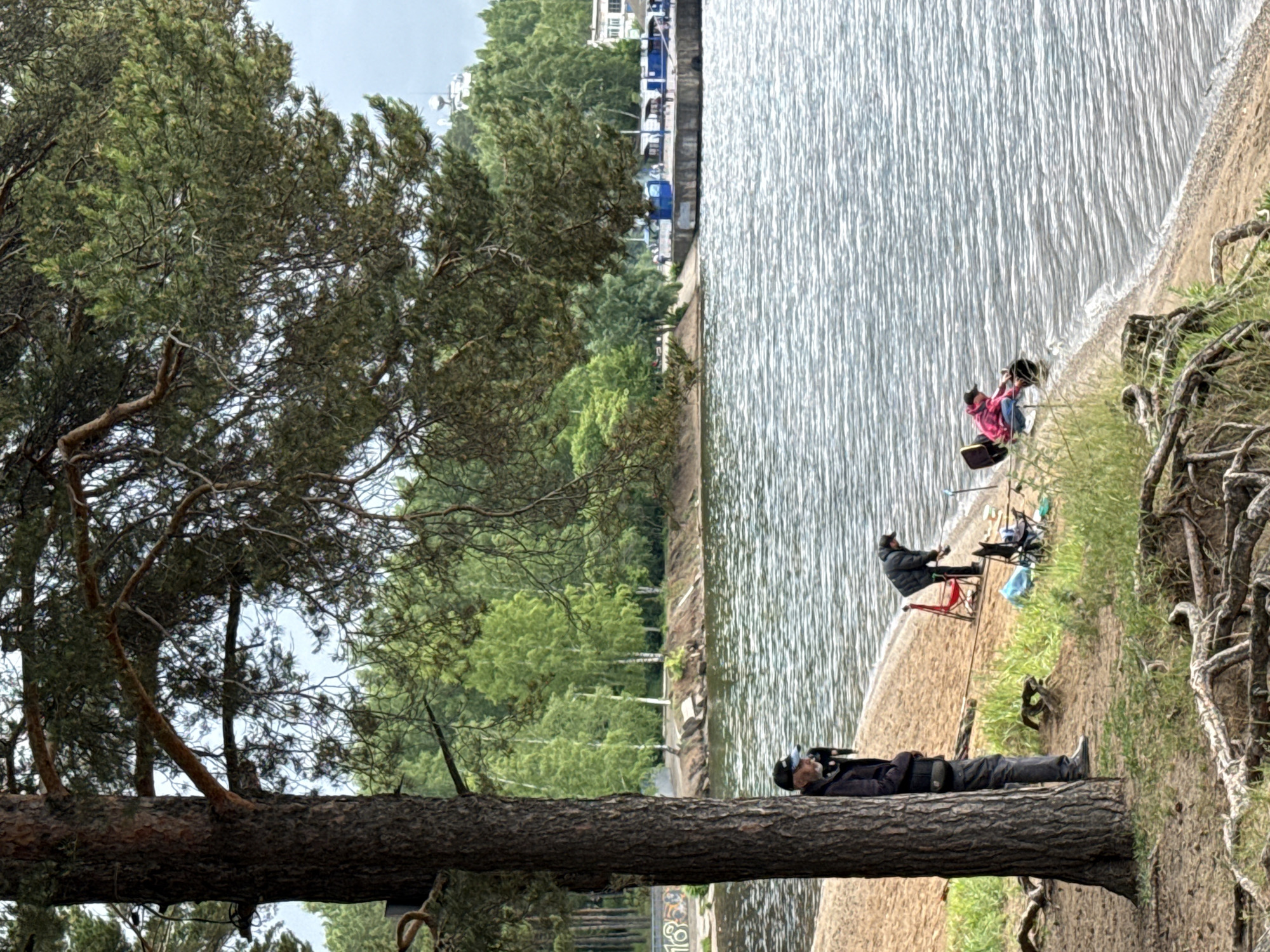 This image depicts a detailed outdoor scene on an overcast day, situated on a sandy bank of a body of water in Chaikovsky, Russia, likely the Kama River or Votkinsk Reservoir.
In the immediate foreground on the left, a large pine tree with exposed roots dominates the frame. Partially obscured by the tree, a man stands, wearing a dark jacket, dark pants, and a dark baseball cap, appearing to observe the scene.
The central and right portions of the midground feature a sandy beach with patches of green grass leading to the water's edge, which exhibits small ripples. Two individuals are actively engaged in fishing. To the left of center, a man in a dark jacket and cap is bent over, attending to fishing equipment near a red folding chair. A blue bag is visible on the ground beside him. Further to the right, another person, dressed in a pink plaid shirt and jeans, sits on a low stool or chair directly at the water's edge, also tending to fishing gear. Fishing rods are present near both active fishermen.
The background reveals a densely forested opposite bank with a mix of light green deciduous and darker coniferous trees. On the far left bank, indistinct markings resembling "185" are visible on a paved section. Moving right across the water, a substantial concrete pier or embankment extends into the water, hosting several blue, modular structures that appear to be small kiosks or shelters. Several boats or barges are docked alongside this pier. Beyond the pier, various buildings are discernable, including one with a white facade. Above the distant treeline and buildings, a prominent white structure featuring multiple dish antennas (characteristic of a radar or communications tower) stands on the horizon, consistent with the Chaikovsky TV Tower or similar installations in the specified city. The sky is uniformly overcast.