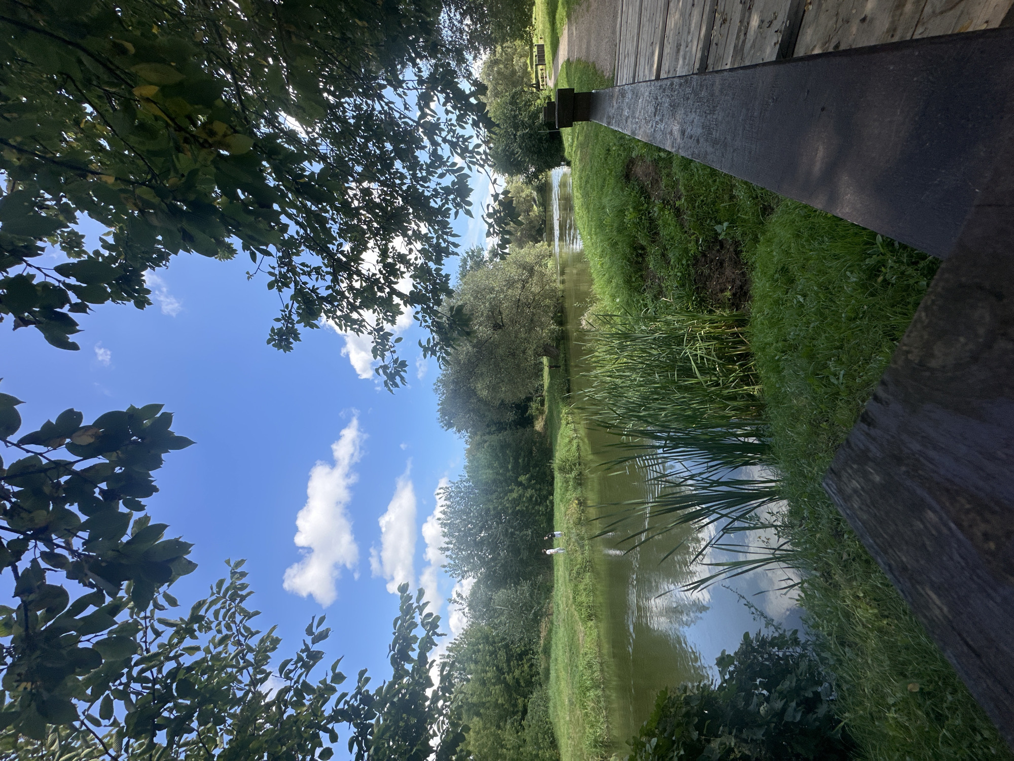 The image depicts a tranquil natural scene, likely a park or nature reserve, featuring a calm body of water reflecting the bright blue sky dotted with white clouds. Lush green grass and reeds line the bank of the water, with dense trees forming a natural backdrop. A wooden walkway with a dark railing runs along the right side of the frame, offering a view of the water and vegetation. In the distance, two figures, appearing to be children, are standing by the water's edge. The overall impression is one of peaceful outdoor recreation. The specific location within the city of Minsk, Belarus cannot be determined from the image alone.