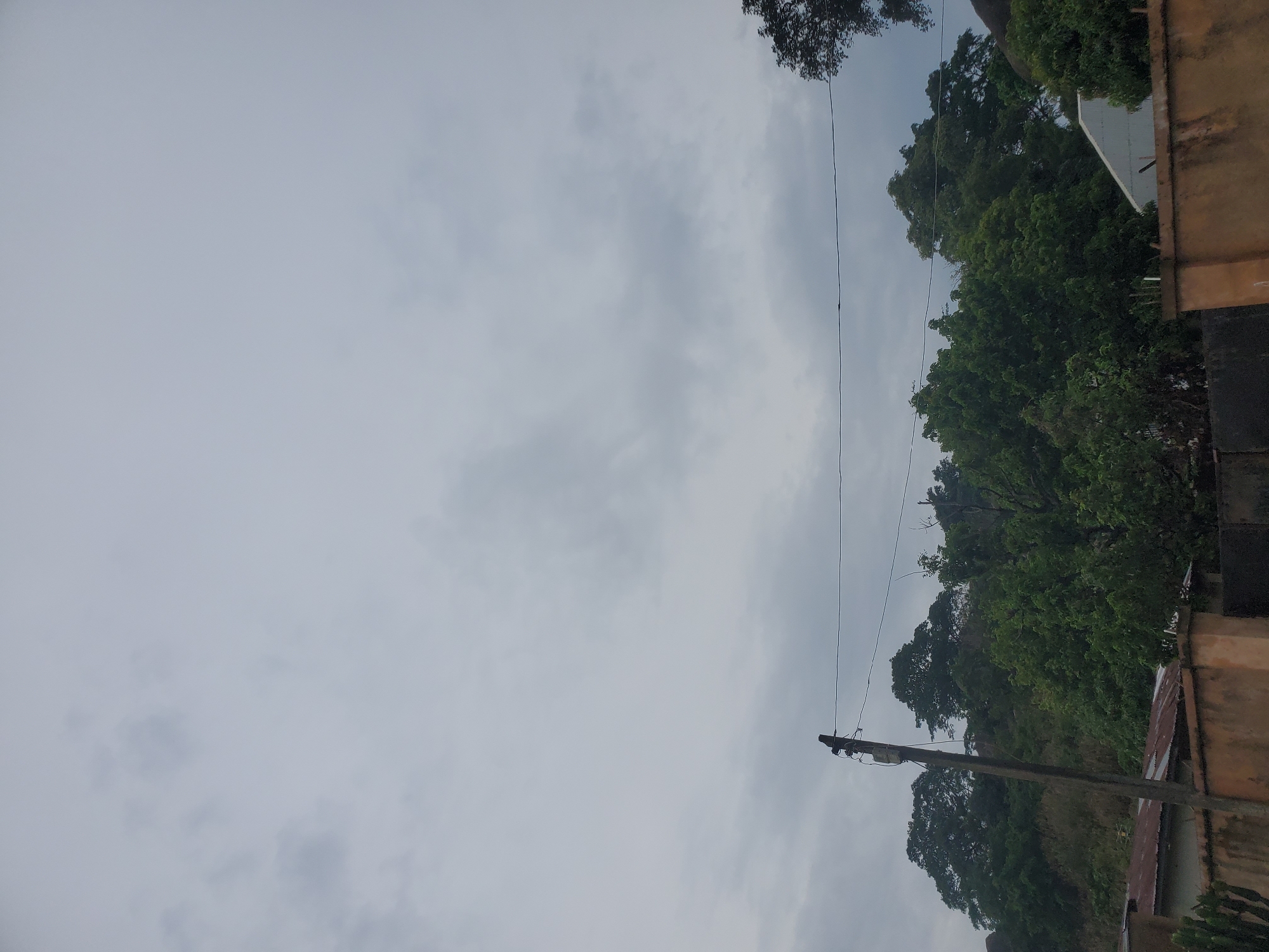 The image depicts an overcast sky above a dense canopy of lush green trees, suggesting a humid environment. In the foreground, a weathered, orange-colored wall runs horizontally across the lower portion of the frame, with a corrugated metal roof partially visible on the left. A wooden utility pole stands vertically to the left of center, with wires extending horizontally across the scene. The overall impression is one of a residential area or the outskirts of a town, possibly experiencing a cloudy or pre-rainy day. Given the lush vegetation and the architectural style of the wall and roof, this scene could be located in Jos, Nigeria, a city known for its elevated terrain and cooler climate, which supports such vegetation.