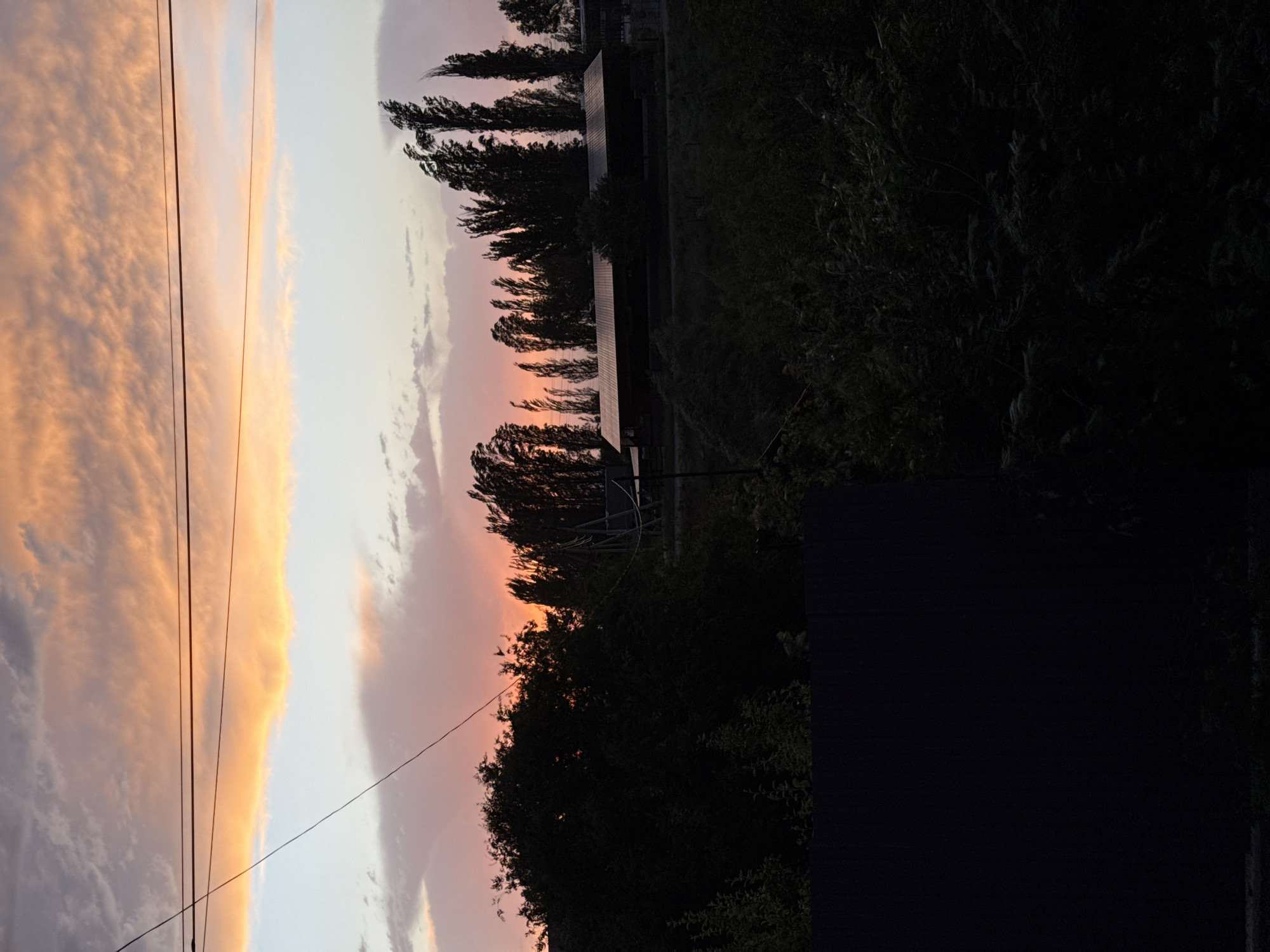 The image shows a sunset sky with orange and pink clouds, seen from an urban environment. Power lines run across the left side of the sky. Trees are visible along the right side, with some buildings in the background. It's nighttime with only ambient light from the sunset and possibly streetlights. The exact city cannot be determined from the image.