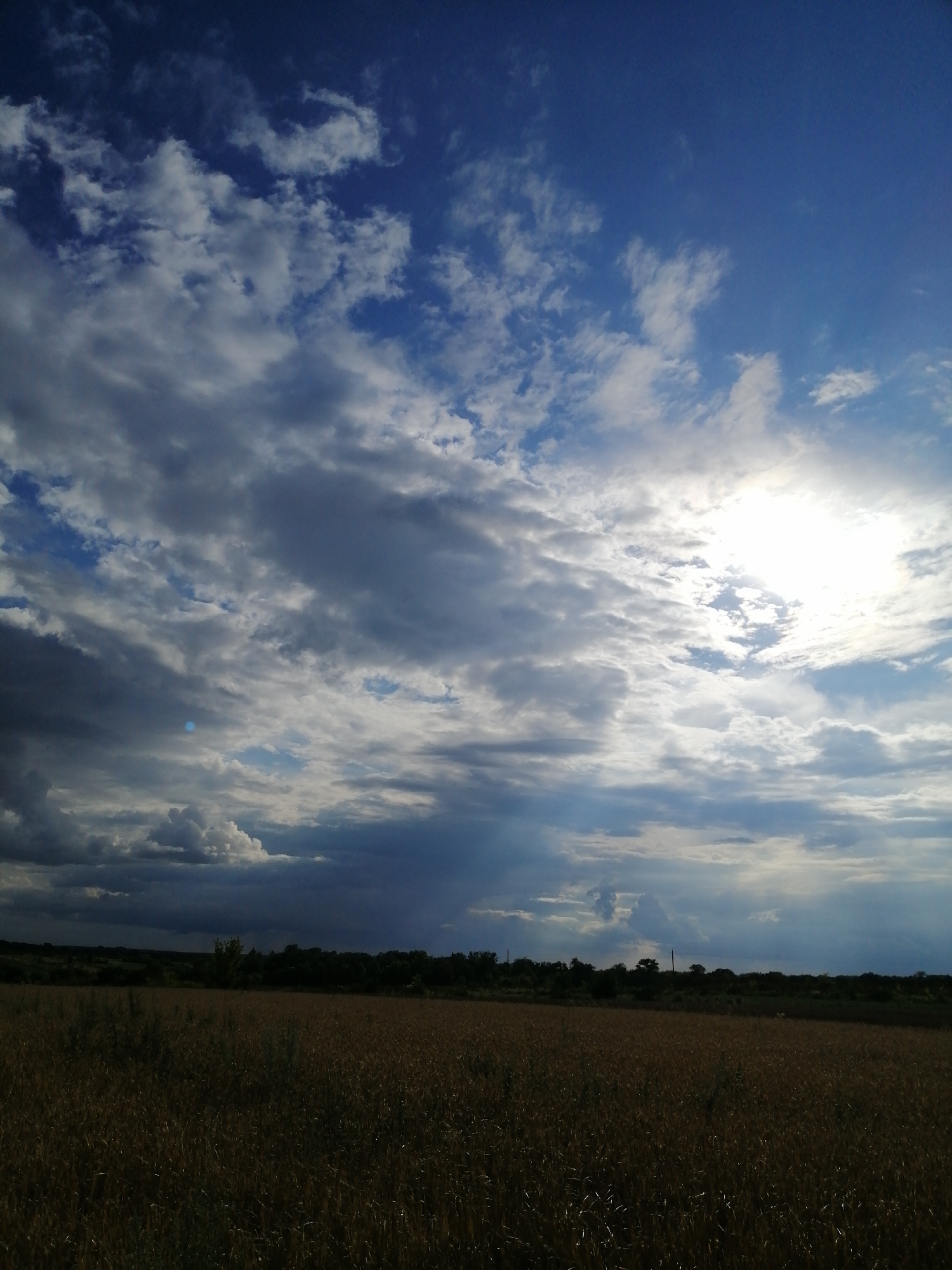 A wide-angle, low-angle shot captures a dramatic sky over a field of golden, dry grass or crops in Mali Kuskivtsi, Ukraine. The sky is filled with a mixture of dark, ominous clouds and bright, sunlit patches, with rays of light breaking through. The horizon is lined with a dark silhouette of trees and some indistinct vegetation. The foreground is dominated by the textured, brown field, appearing somewhat dry and sparse. The overall impression is one of a vast, open landscape under a dynamic and stormy sky.