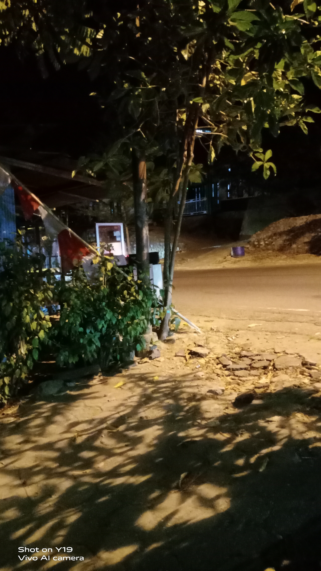 The image captures a nighttime street scene in Kolaka, Indonesia. A flag, appearing to be the Indonesian flag with its red and white colors, is partially visible, draped over a structure on the left. In front of this structure is dense green foliage, possibly bushes or small trees. Behind the foliage, a white framed sign is mounted on a pole. Several thin tree trunks are present in the foreground and midground, casting elongated shadows on the textured ground. The ground itself appears to be a mix of paved areas and loose soil or debris, with visible cracks and scattered leaves. A paved road is visible in the mid-right of the image, extending into the distance and illuminated by streetlights. On the far right, a gentle slope covered with vegetation rises from the roadside. In the background, structures and a dark, textured hillside are discernible. The overall lighting suggests an urban or semi-urban environment at night, likely a roadside area. The bottom left corner of the image contains text indicating it was taken with a "Vivo Y19" and "Vivo Al camera".