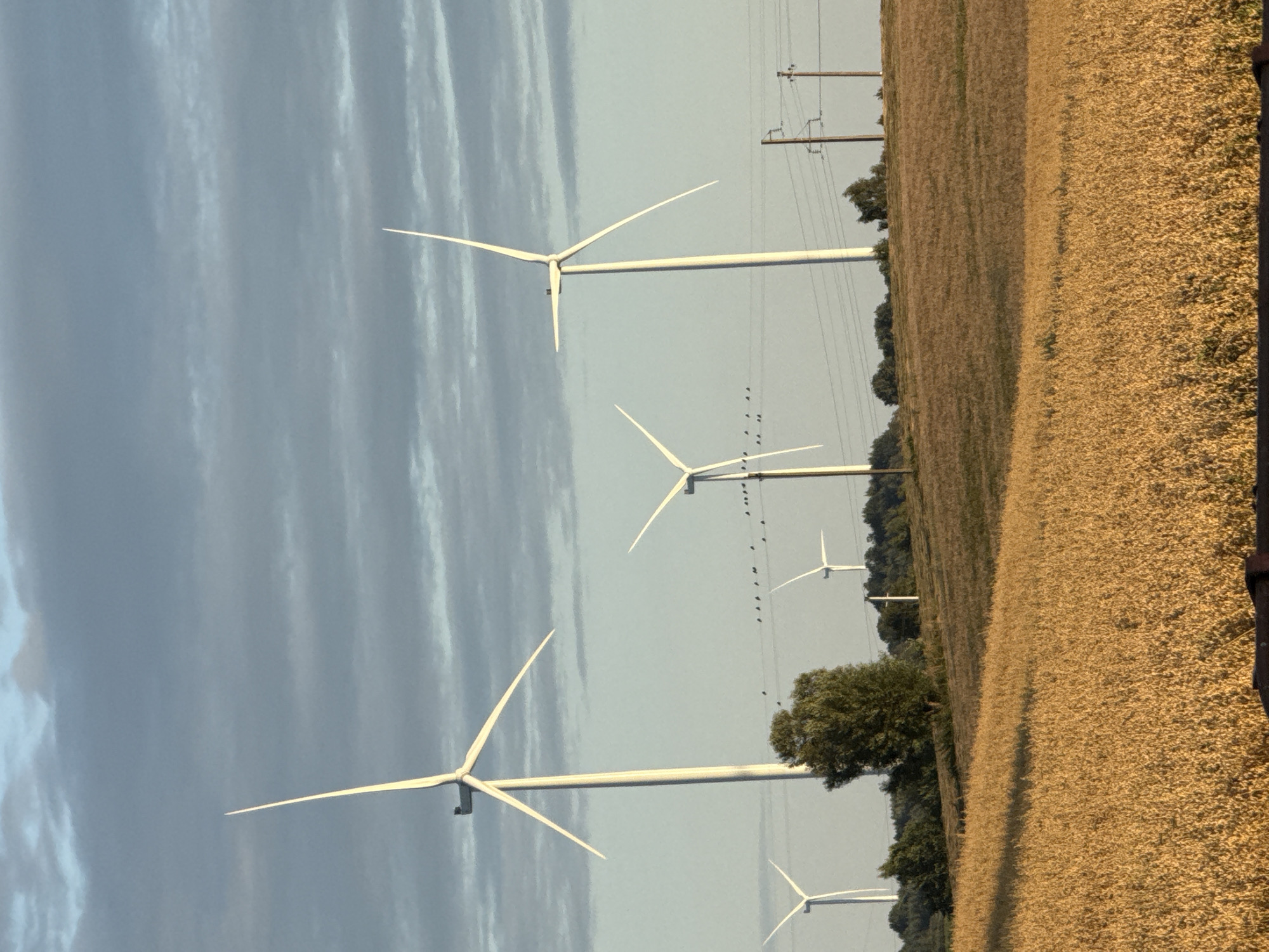 In the Vikraičiai, Lithuania, a scenic landscape unfolds with several wind turbines standing tall against a cloudy sky. A golden field of crops occupies the foreground, with a line of trees and rolling hills in the middle ground. Power lines and poles are visible between the turbines, and a cluster of birds appears to be perched on one of the lines. The overall scene is serene and natural, highlighting the harmonious coexistence of renewable energy and the Lithuanian countryside.