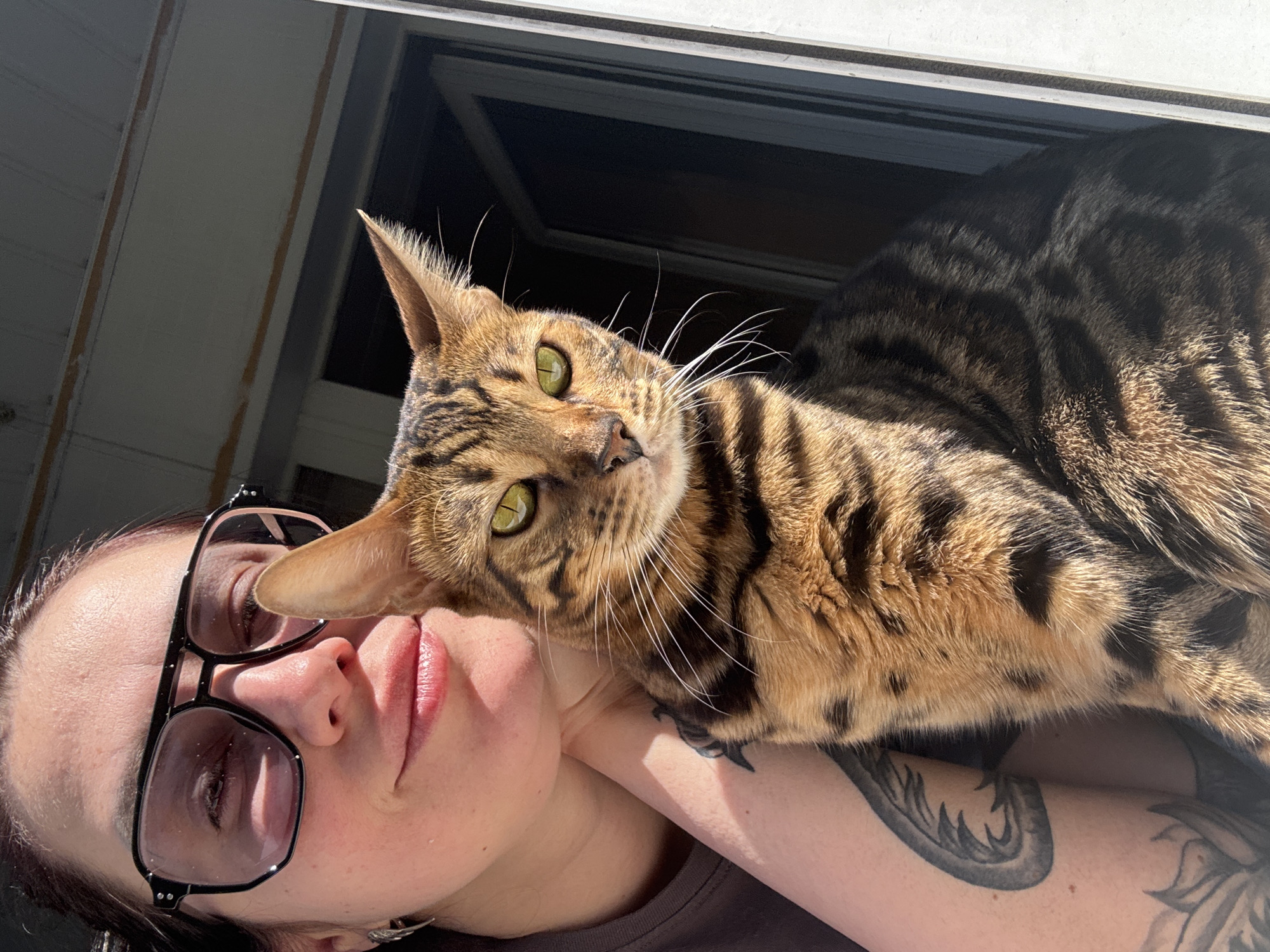 A person wearing glasses rests with a Bengal cat, exhibiting a brown and black coat, atop them. The scene is bathed in sunlight, illuminating the cat's green eyes. A window frame forms the backdrop. A tattoo is visible on the person's arm. The location is Unknown, Unknown.