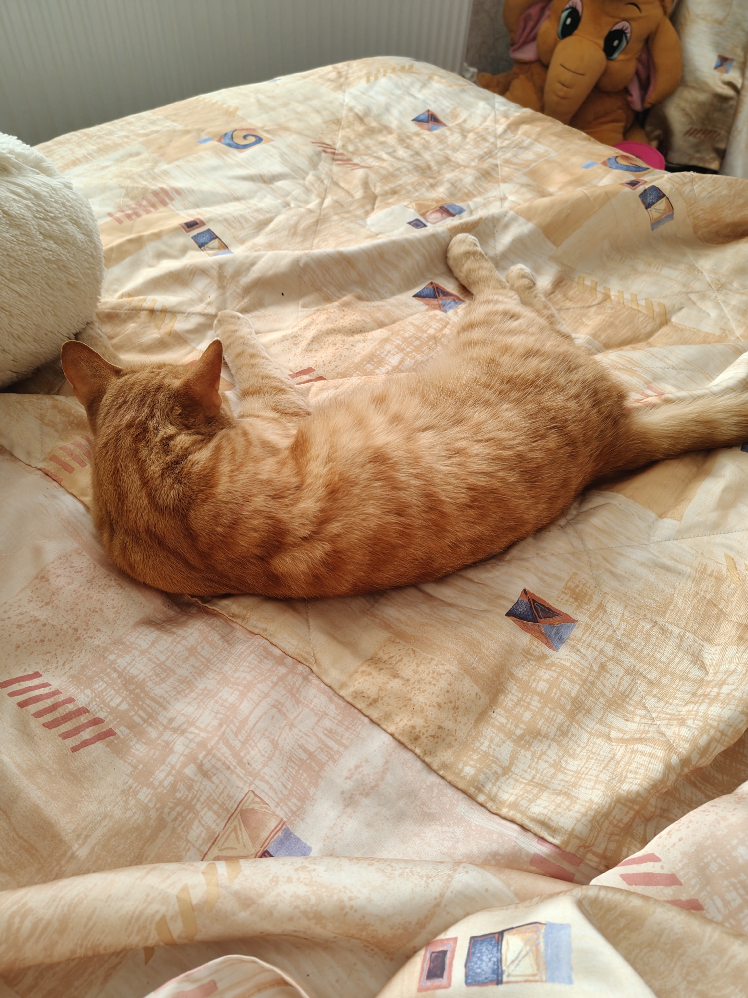 A ginger cat is resting on a bed covered with a patterned duvet. The duvet features a beige and peach abstract design with geometric shapes and line patterns. A fluffy white object, possibly a pillow or toy, is visible on the left side of the image. In the background, an orange stuffed elephant toy with large blue eyes is peeking over the edge of the bed. The scene is lit by natural light, casting shadows on the bed. The image appears to be taken indoors, likely in a bedroom. The location is specified as Kovalevskoye, Russia.