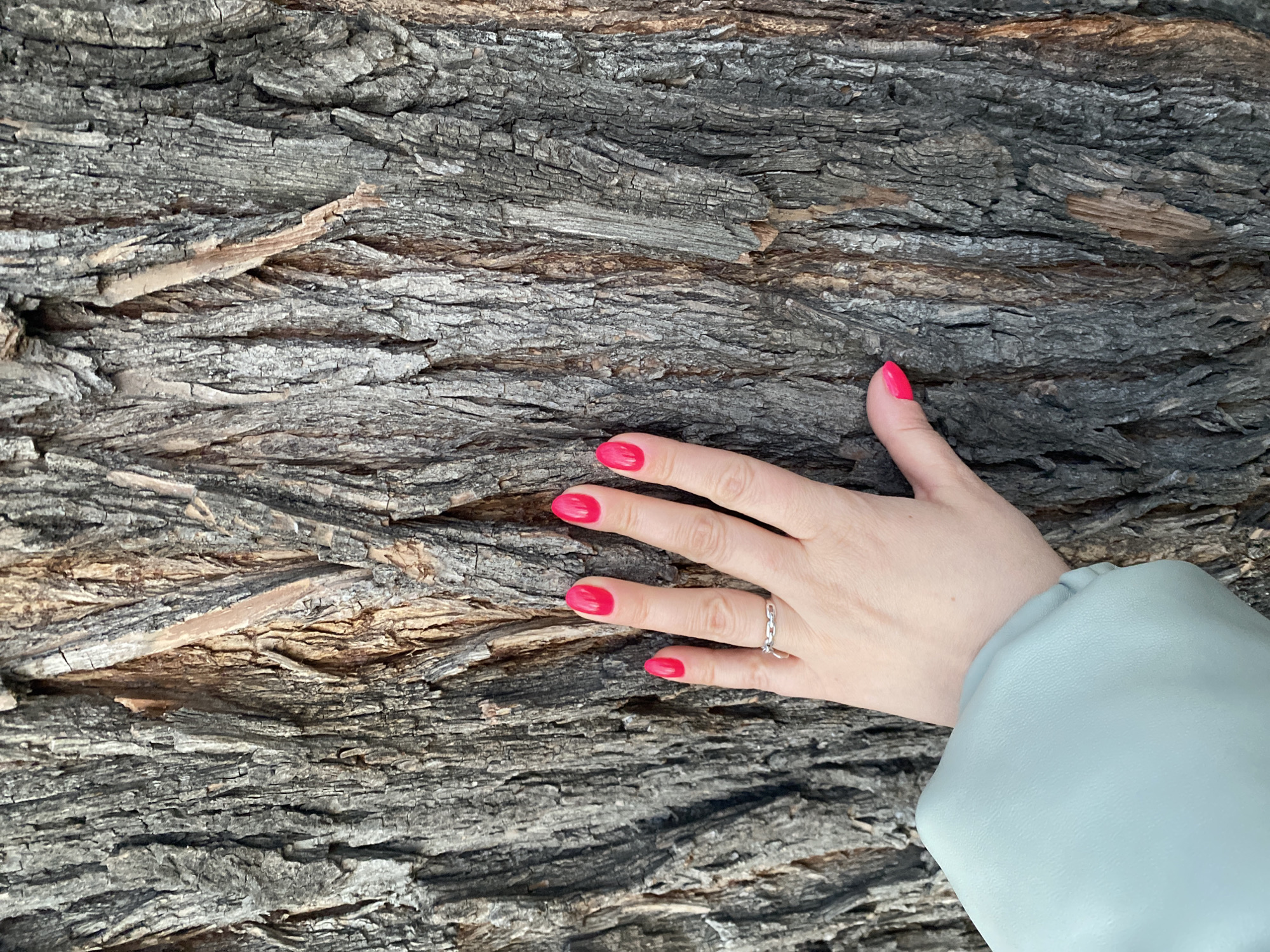 A woman's hand with bright red nail polish and a silver ring rests on tree bark. The bark is textured and gray. The woman's forearm, clad in a light green jacket, extends into the lower right corner of the image. There is no discernible indication of the location of this scene as Yekaterinburg, Russia.
