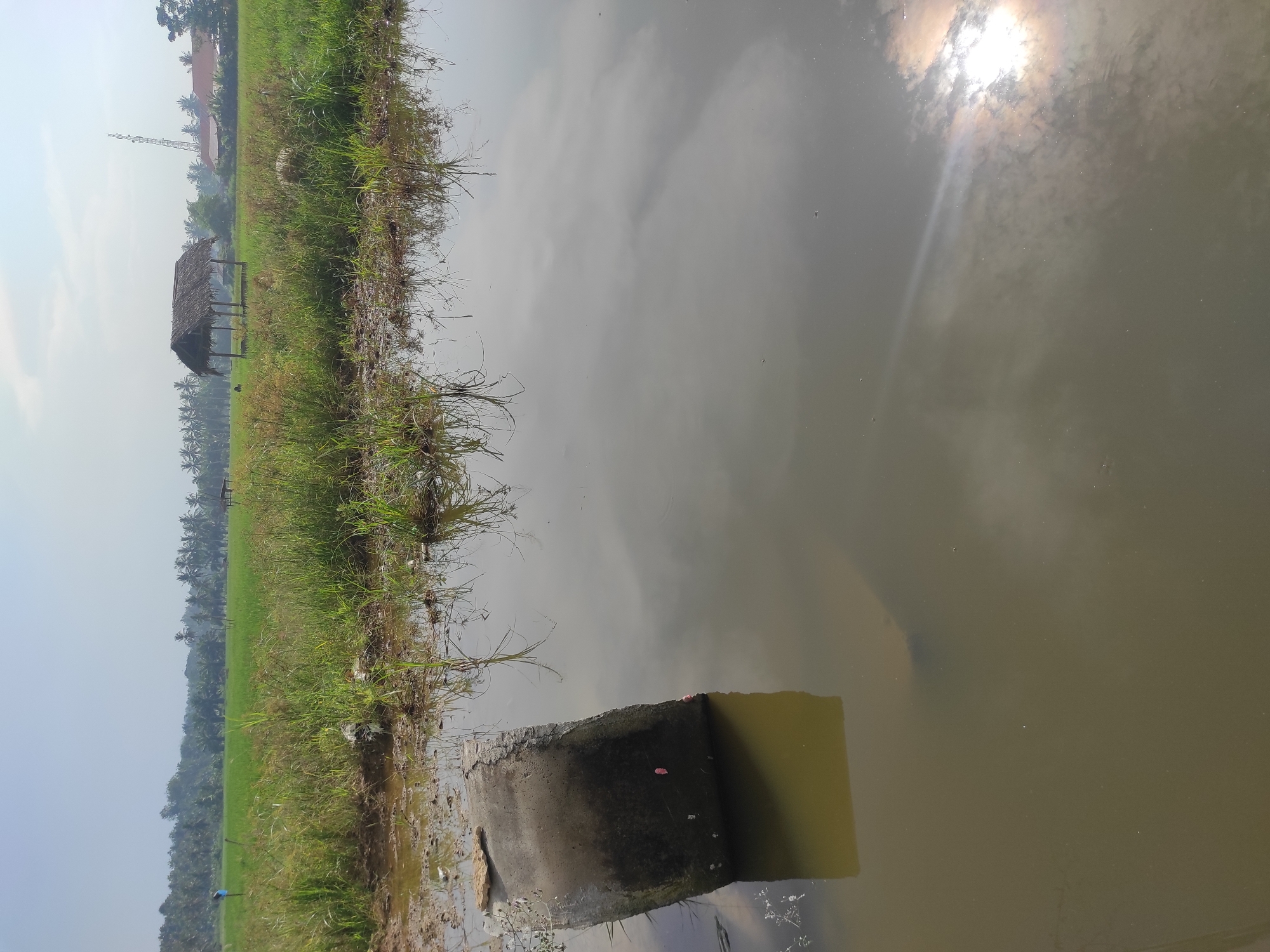 The image shows a rural scene in Lhokseumawe, Indonesia. A flooded rice paddy is the dominant feature, reflecting the sky and sun. A small, open-sided hut with a thatched roof stands along the edge of the paddy, adjacent to a field of green grass. A concrete structure, partially submerged, sits at the edge of the water. Trees are visible in the background. The sky is hazy.