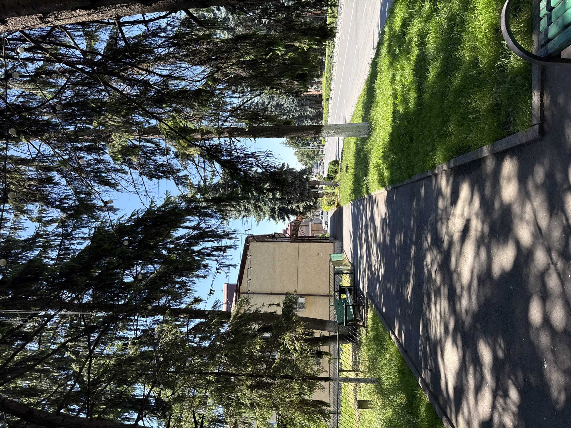 The image depicts a street scene in Oktyabrskoye, Russia, on a bright, sunny day. Tall, mature coniferous trees line the left side of the frame, their branches casting dappled shadows on a paved walkway. The walkway runs alongside a well-maintained grassy area, which in turn borders a paved road with a white line marking.
In the mid-ground, a low, light-colored building with a dark roof is visible. In front of the building, there is a dark metal fence and a dark green park bench. Further down the road, other buildings and parked cars can be seen, suggesting this is a residential or commercial area.
The light and shadows indicate that it is likely midday. The clear blue sky suggests fair weather. There is no visible text in the image. The overall impression is one of a peaceful, ordinary day in a town or city.