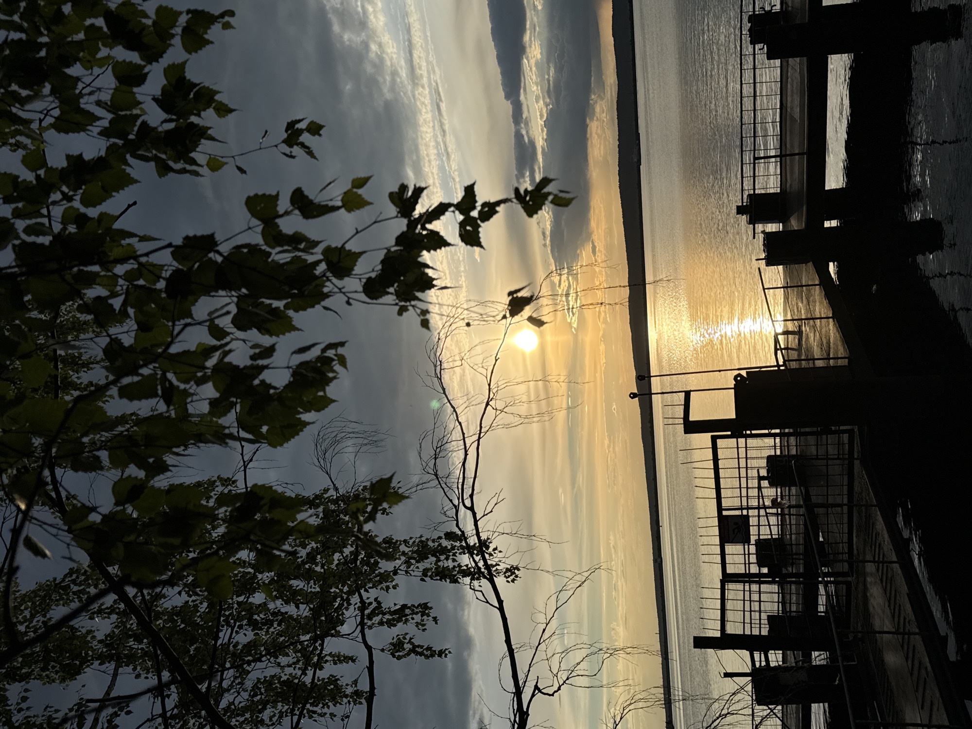 This image captures a serene sunset over a body of water, likely a river or lake, in Chaikovsky, Russia. The sun, a bright orb, is low on the horizon, casting a warm, golden glow across the water's surface. Wispy clouds streak across the sky, tinged with shades of yellow and grey, indicating the transition from day to evening. The foreground is dominated by silhouetted tree branches, their leaves a dark green against the luminous sky.
On the right side of the frame, a pier or dock structure is visible, also in silhouette. It features a metal railing and what appear to be bollards or mooring posts. The water reflects the golden light of the setting sun, creating a shimmering path. The overall mood is peaceful and tranquil, evoking a sense of calm as the day draws to a close. The scene suggests an outdoor setting, possibly a waterfront park or recreational area. No people are visible in the image. The time of day is clearly sunset. No visible text is present in the image.