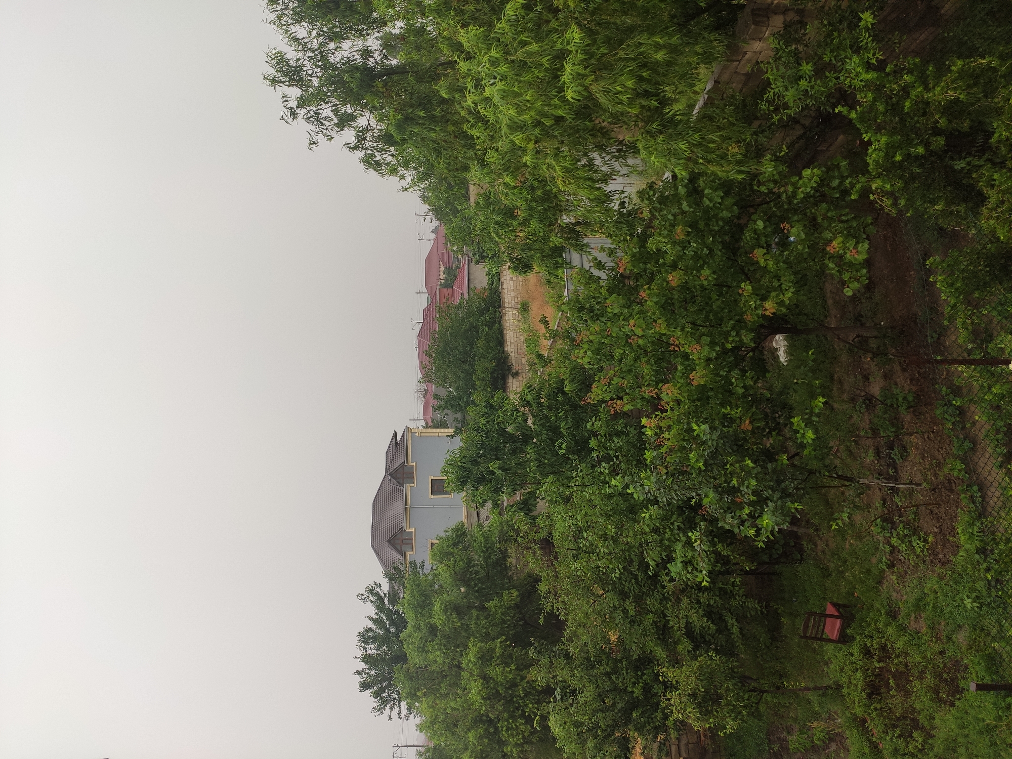 A cloudy day casts an overcast sky over a scene featuring a backyard with mature trees, a light blue house with a dark roof, and other houses with red roofs in the distance. A simple wooden chair with a red seat sits on the grass in the foreground, surrounded by lush green foliage. A stone wall runs horizontally across the middle ground, separating the yard from more distant structures. The overall impression is one of a quiet, residential area.
