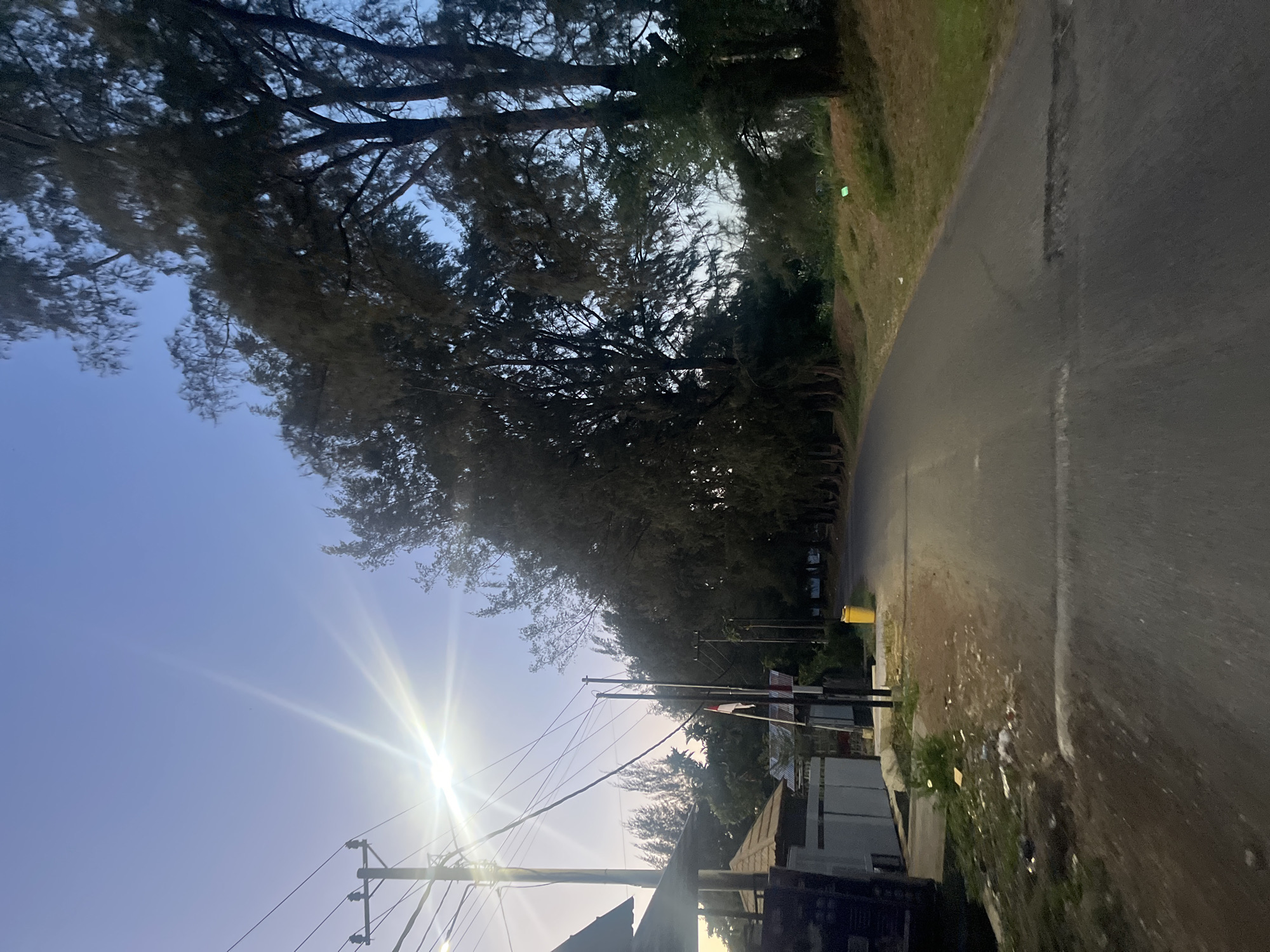 The image depicts a road lined with tall trees on the right side, with a clear blue sky above. On the left side, there are buildings and a utility pole with wires. A bright light source, possibly the sun, is visible in the upper left quadrant, creating a lens flare effect. The road is paved and appears to be a rural or suburban area. A yellow trash can is placed on the side of the road. A flagpole with an Indonesian flag is also visible near the left side of the road. The scene suggests it is either early morning or late evening due to the lighting conditions. The location is identified as Banda Aceh, Indonesia. There are no people or animals visible in the image.