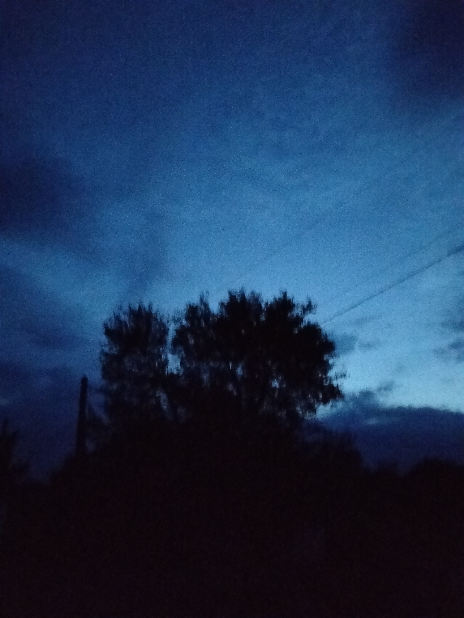 A silhouette of trees is visible against a dark blue twilight sky in Ustyvytsia, Ukraine. A faint telephone wire is visible stretching across the upper right portion of the image. The ground is completely dark and indistinct.