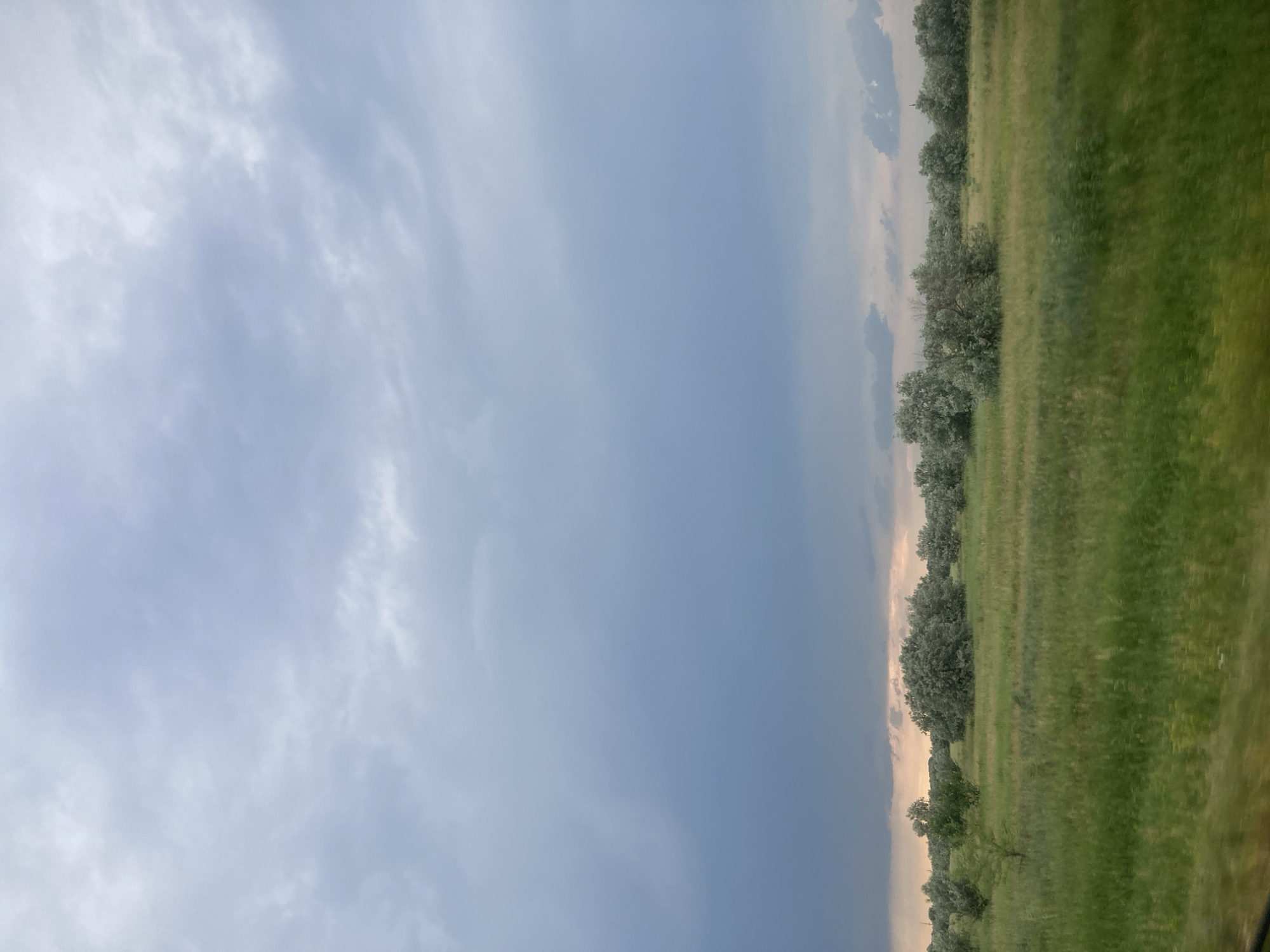 This is a landscape photograph taken outdoors, oriented vertically. The image features a vast sky on the left, filled with light gray and white clouds, suggesting an overcast or partly cloudy day. The right side of the image depicts a grassy field with a line of trees running along its edge. The grass appears green and well-maintained, with some areas showing subtle variations in shade due to lighting or texture. The trees are leafy and appear to be deciduous, with dense foliage. A hint of a lighter sky, possibly indicating sunset or sunrise, can be seen behind the trees on the far right. The overall impression is one of a natural, rural or semi-rural setting. There are no people or man-made objects clearly visible. The time of day is likely late afternoon or early evening given the soft light. The weather appears calm. No text is visible in the image.