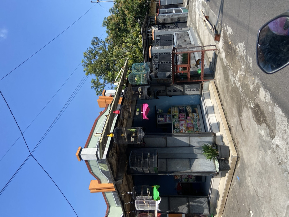 The image shows a small shop with a variety of birdcages hanging outside. The shop is located in Mojosari, Indonesia, at the coordinates -7.504 latitude and 112.547 longitude. The shop has a grey tiled floor and a small wooden sign that says "NG KRIL ULER" in Indonesian. The shop's storefront has a glass display case full of packaged goods. There is a pink plastic flower pot hanging over the entrance of the shop. Several bird cages are hanging outside the shop, along with a variety of potted plants. The shop is situated on a paved street with a low stone wall behind it. The street is empty except for a motorcycle with a mirror visible in the lower right corner of the image. The sky is clear and blue. The scene is daytime and the sun is bright.