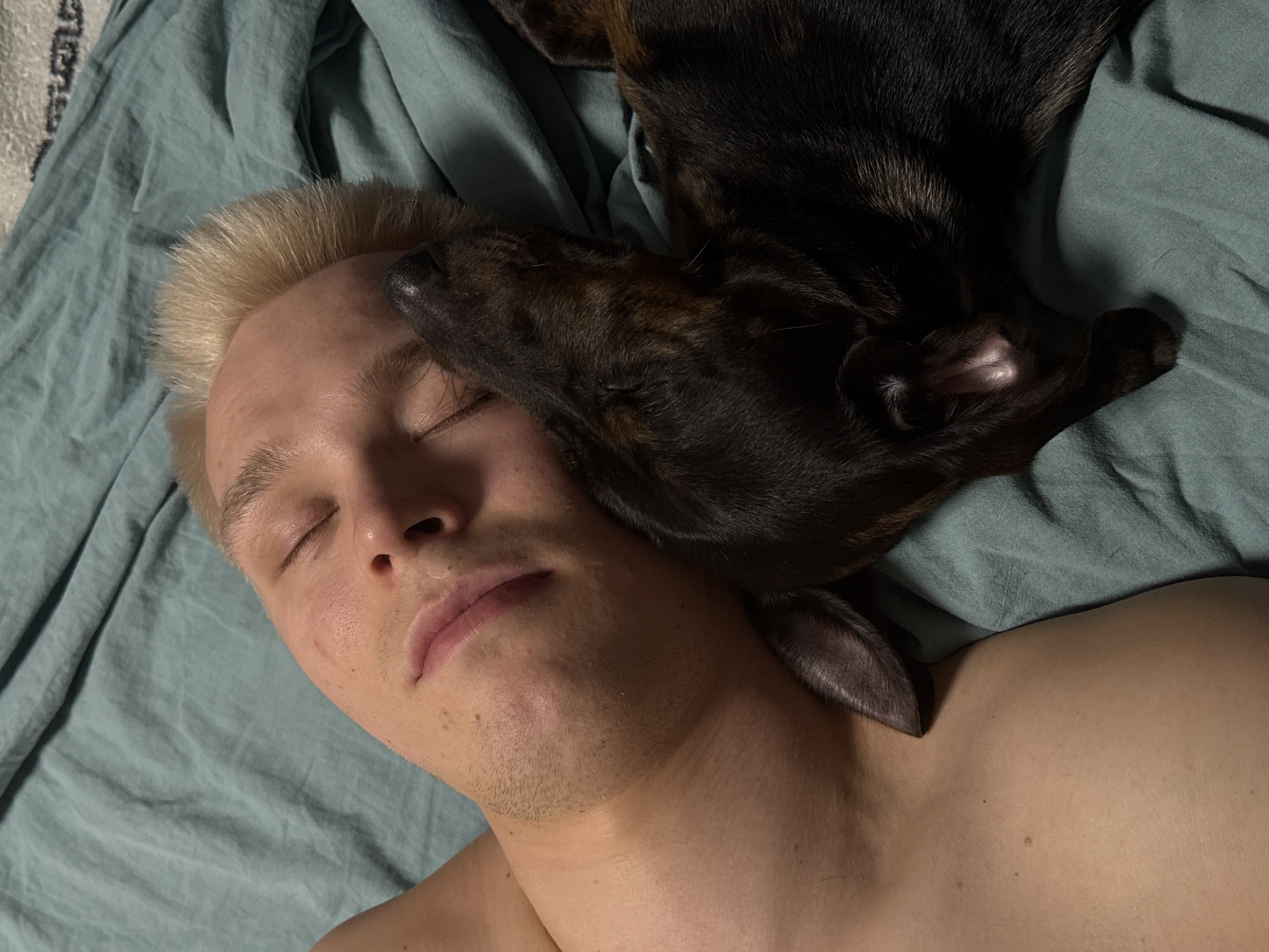 A fair-skinned, blond-haired man lies supine on a blue sheet, eyes closed, seemingly asleep. A dark-colored dog, possibly a dachshund or similar breed, rests its head on the man's face, with its nose near the man's eye and an ear against his neck. The man appears shirtless, and the lighting is soft and diffused. There is no indication of the location of Noviy, Russia.