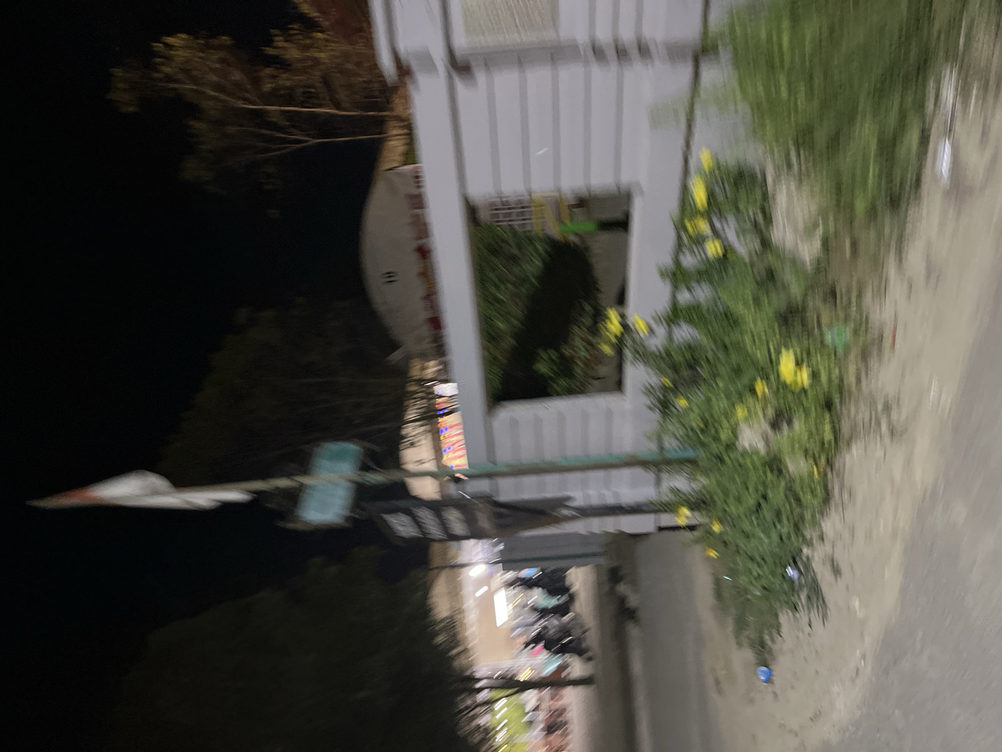 This is a blurry, low-light, vertical-orientation photo taken at night in what appears to be an urban or semi-urban outdoor setting. The primary subjects are a light-colored building with corrugated siding and a white fence, and lush green foliage with small yellow flowers growing in front of it. To the left, there is a dark background with a silhouette of trees and a distinctive object on a pole that resembles a bird or a kite with a red tip and a blue cylindrical element. This object appears to be a decorative item or a weather vane.
In the mid-ground, beyond the building and foliage, a street scene is visible, illuminated by artificial lights. Several motorcycles are parked or moving, and there are hints of colorful lights, suggesting a commercial or entertainment area. The overall impression is one of a street at night, possibly near a market or an event.
The photo's blurriness and low light suggest it was taken with a mobile phone camera in challenging conditions, possibly during a walk or a ride. There is no clear indication of specific weather conditions, but the darkness points to nighttime. The location context "Kesehatanbandar, Indonesia" suggests it might be a street in a town or city in Indonesia. No legible text is visible in the image. The blurry nature of the photograph makes it difficult to discern specific details about people or their activities, but the presence of motorcycles implies ongoing movement and daily life.