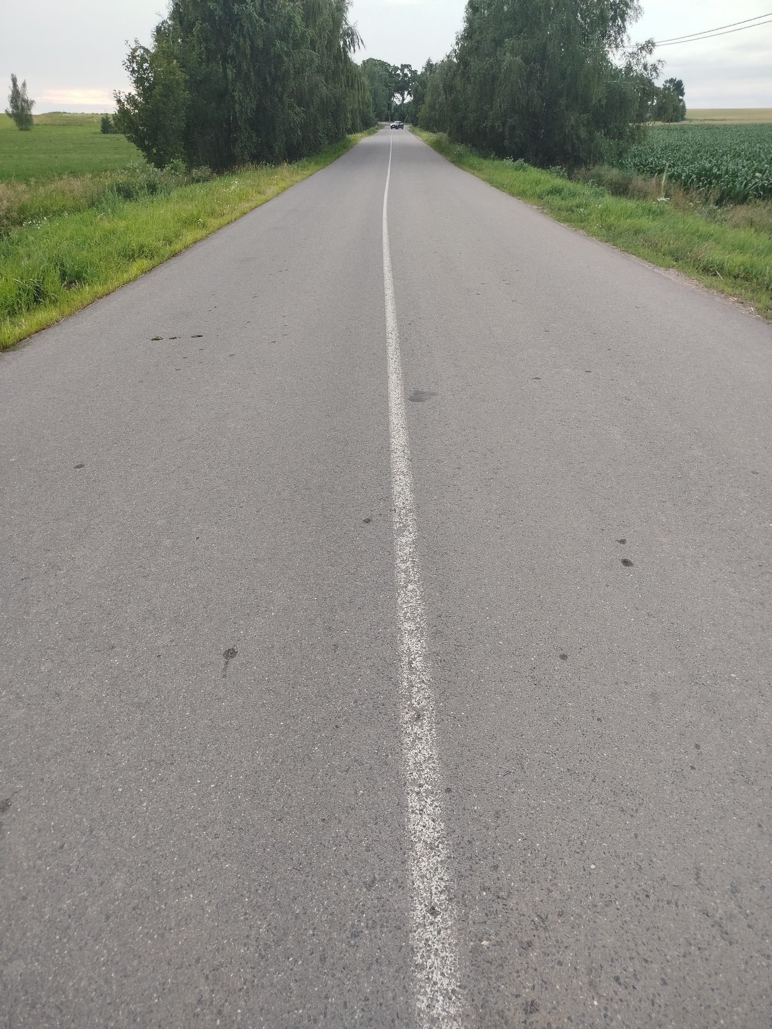 A two-lane asphalt road stretches into the distance, flanked by lush green grass and trees on either side. In the background, a white car is visible traveling away from the camera. The sky is overcast, suggesting a cloudy day. The road appears to be a rural route, possibly located in the vicinity of Крупіцкі сельскі Савет, Belarus, given the agricultural fields visible. The road surface shows signs of wear, with some small dark patches and faint marks scattered across its width. The white line in the center of the road is faded in some areas.