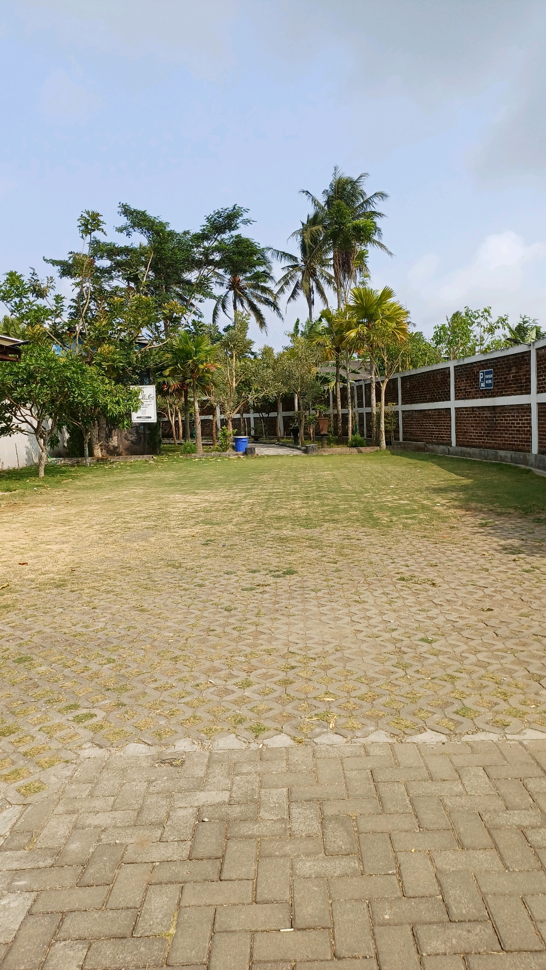 The image depicts an outdoor paved area with sparse vegetation and a clear sky. The foreground is dominated by interlocking concrete pavers laid in a herringbone pattern. Beyond this paved area, there is a strip of grass, some of which is dry and yellowed, set within a grid of concrete blocks that also allow for grass growth. Further back, a path made of light-colored concrete leads towards a cluster of trees and buildings.
Among the trees, several species are visible, including palm trees and deciduous trees with green foliage. A blue trash can is positioned near a pathway. In the background, a brick wall with white horizontal beams separates the grassy area from more vegetation and a building complex. A sign with text and a parking symbol is affixed to the brick wall. The scene appears to be a courtyard or an open space associated with a building, possibly a resort or a public facility. The lighting suggests it is daytime, with the sun positioned to the left of the frame, casting subtle shadows.
Given the context of the city of Guntur, Indonesia, this scene is likely located in a tropical or subtropical environment, characterized by the presence of palm trees and lush vegetation. The architecture and the style of paving are consistent with common designs found in residential or public spaces in Indonesia. The overall impression is one of a well-maintained outdoor area, possibly a parking lot or a garden space adjacent to a building. There are no people visible in the image, and the scene is static.