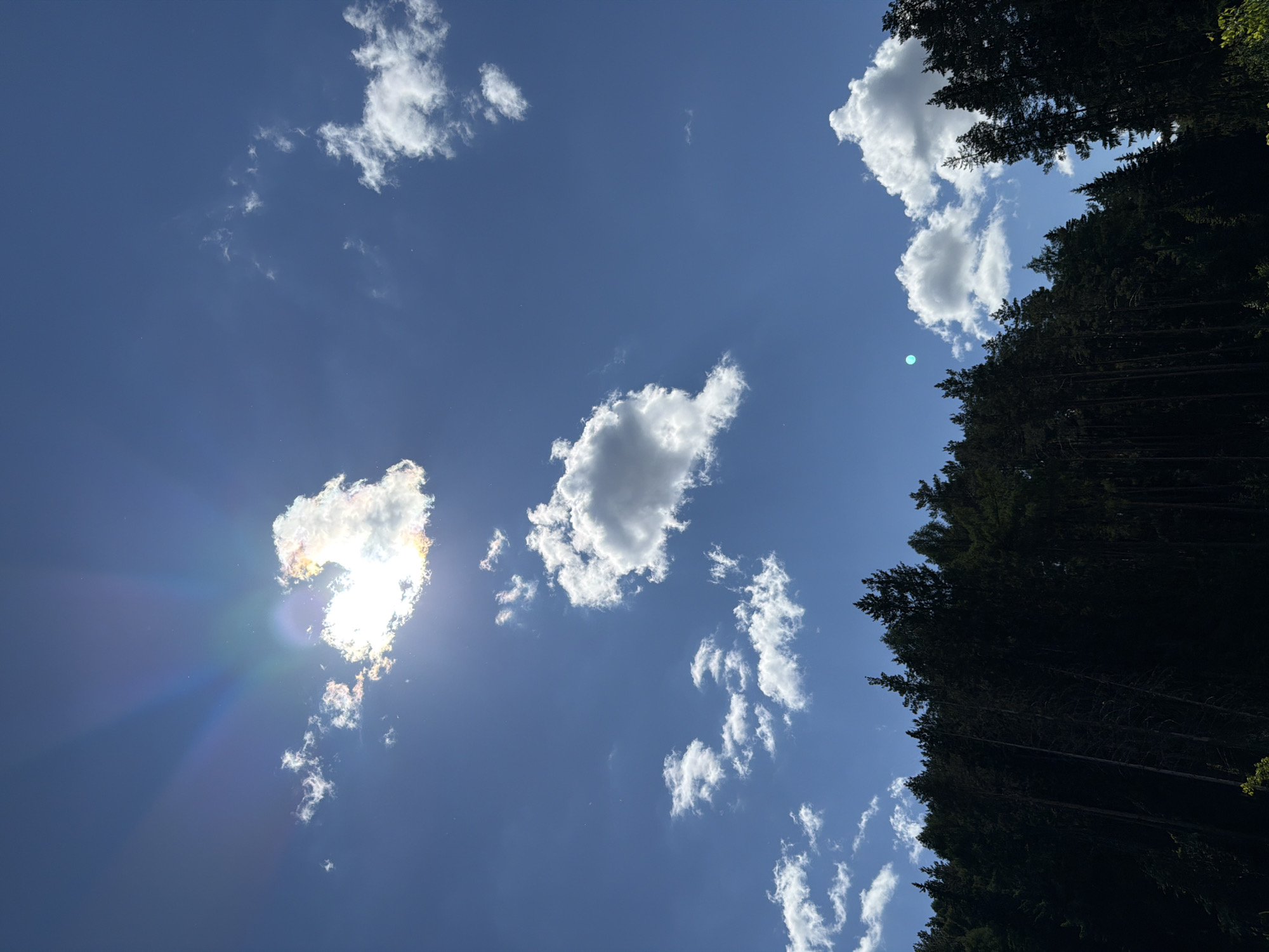The image captures a vibrant sky with scattered white clouds against a deep blue backdrop. The sun is partially obscured by a cloud, creating a radiant effect with visible sunbeams and a subtle rainbow-like halo. Below the sky, a dense forest of dark green pine trees stretches across the horizon, with some individual trees silhouetted against the brighter sky. The scene appears to be a natural landscape, likely a forest area. There are no people or man-made structures visible in the image. The overall impression is one of a bright, sunny day in a forested region. The specific location in the city of Прикамский, Russia, cannot be determined from the visual information provided.