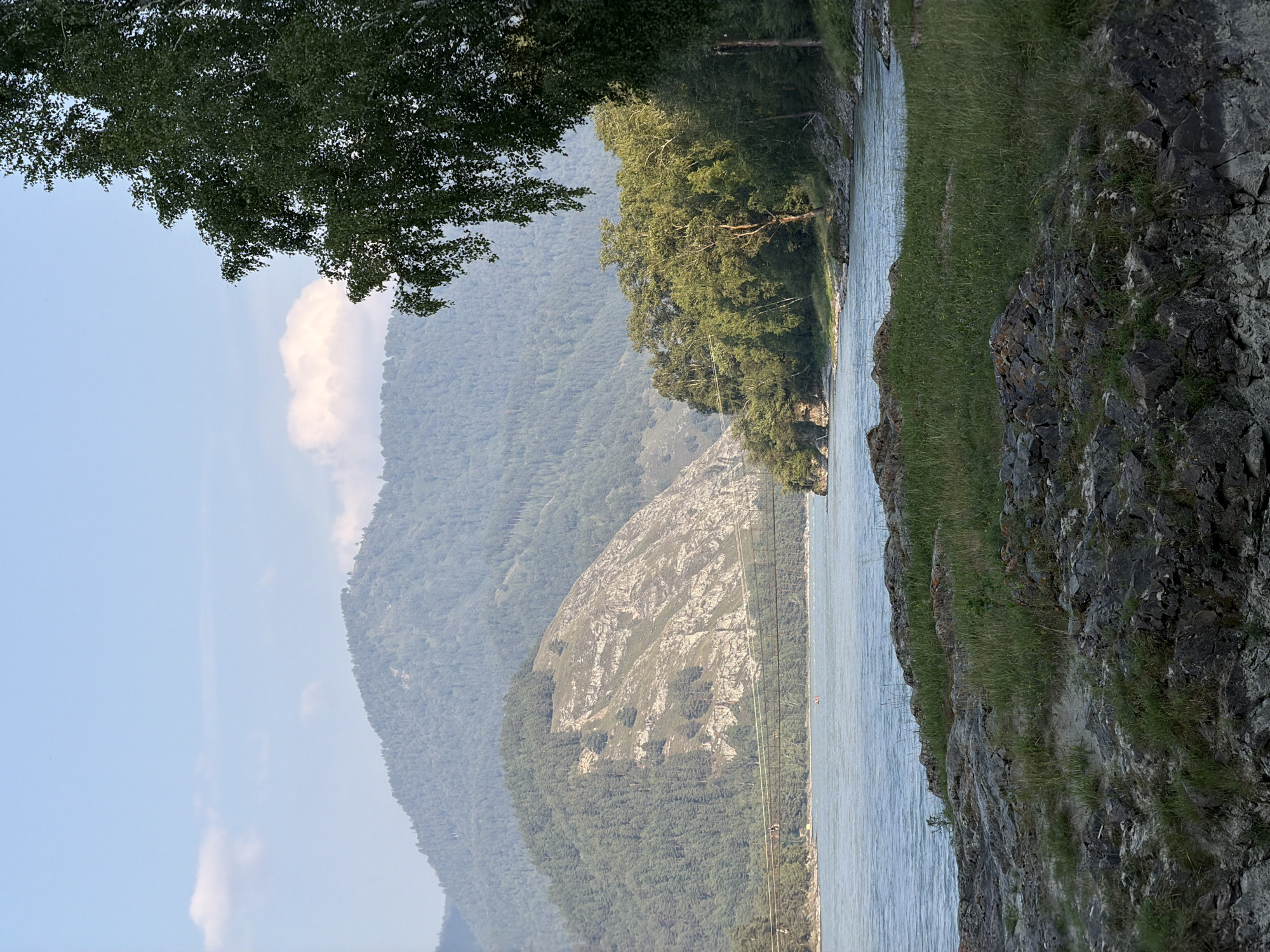 The image depicts a scenic river landscape, likely located in or near Anos, Russia, given the presence of lush greenery, mountains, and a river. In the foreground, the rocky shoreline is covered with patches of dry grass, with large, dark gray stones dominating the landscape. The river, with its choppy, light blue water, flows from left to right across the frame.
Further back, a dense forest of green trees lines the opposite bank, with some trees also visible on the right side of the image. A steep, rocky mountain face, partially covered in trees, rises behind the forest on the left. The distant mountains are hazy and covered in a dense, green forest. The sky is a pale blue with a few wispy white clouds. A suspension bridge stretches across the river in the middle ground, with what appear to be a few people crossing it and a small red boat visible on the water. A large tree with dark green foliage hangs over the right side of the frame from the top.