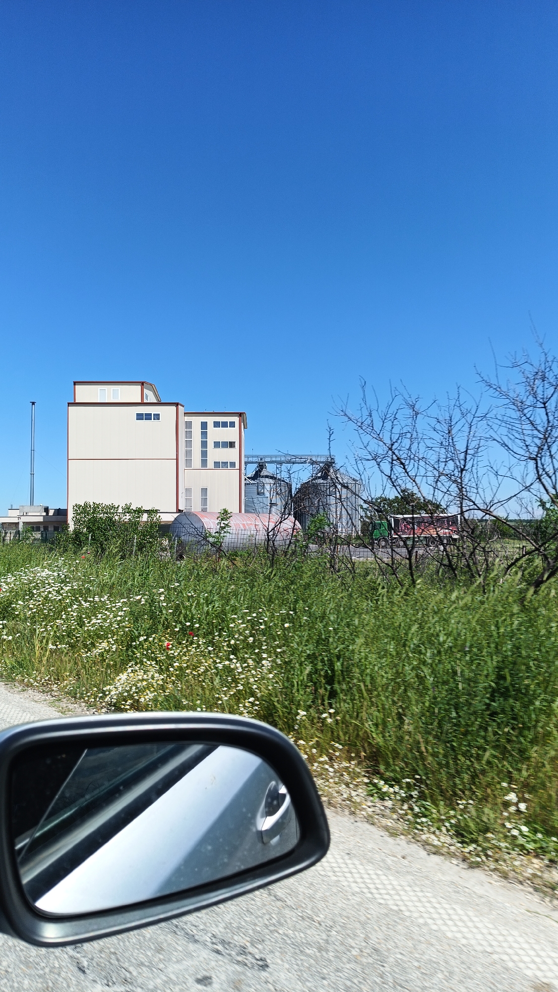 The image shows an industrial building with associated silos against a clear blue sky. The building is white with red trim and rectangular windows. The silos are metallic and appear to be grain storage units. In the foreground, there is dense vegetation, including tall grasses and wildflowers. A side mirror of a vehicle is visible in the lower left corner of the image, suggesting the photo was taken from a moving car. The building is located in Bogdanitsa, Bulgaria, based on the presence of industrial structures associated with agricultural activities. A truck can be seen behind the storage silos.