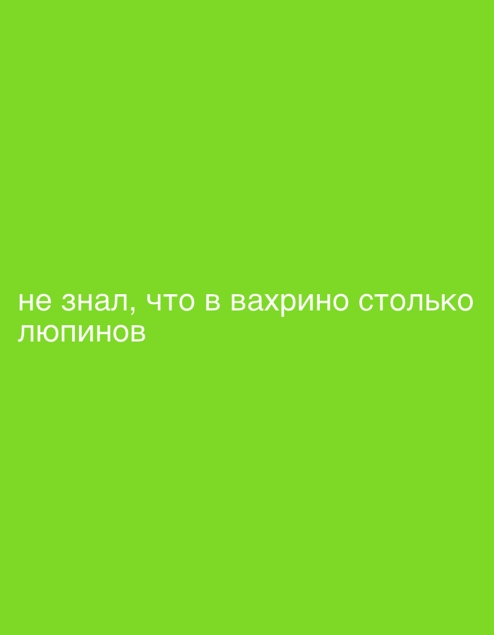 A digital image displays white text against a solid, bright green background. The text is written in Cyrillic and reads: "не знал, что в вахрино столько люпинов." This translates to "didn't know that there are so many lupins in Vakhrino." No other subjects, objects, or a discernible scene are depicted. The text conveys surprise about the quantity of lupins in the mentioned location, Vakhrino.