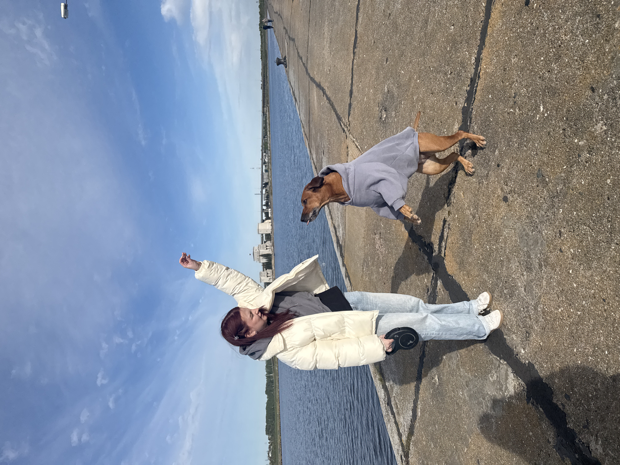 The image shows a young woman and a dog on a concrete pier or walkway. The woman is lying on her back, wearing light-wash jeans, white sneakers, a gray sweatshirt, and a cream-colored puffer jacket. Her left arm is raised in the air. She holds a black retractable dog leash in her right hand. The dog, a brown short-haired breed, possibly a Rhodesian Ridgeback, wears a gray hooded sweatshirt. The dog appears to be mid-stride. The background shows a body of water, likely a river or channel, with some buildings and trees visible on the opposite bank. The sky is blue with scattered clouds. The location is likely near a waterfront area in Timiryazevskii S/S, Ivanovo, Russia.