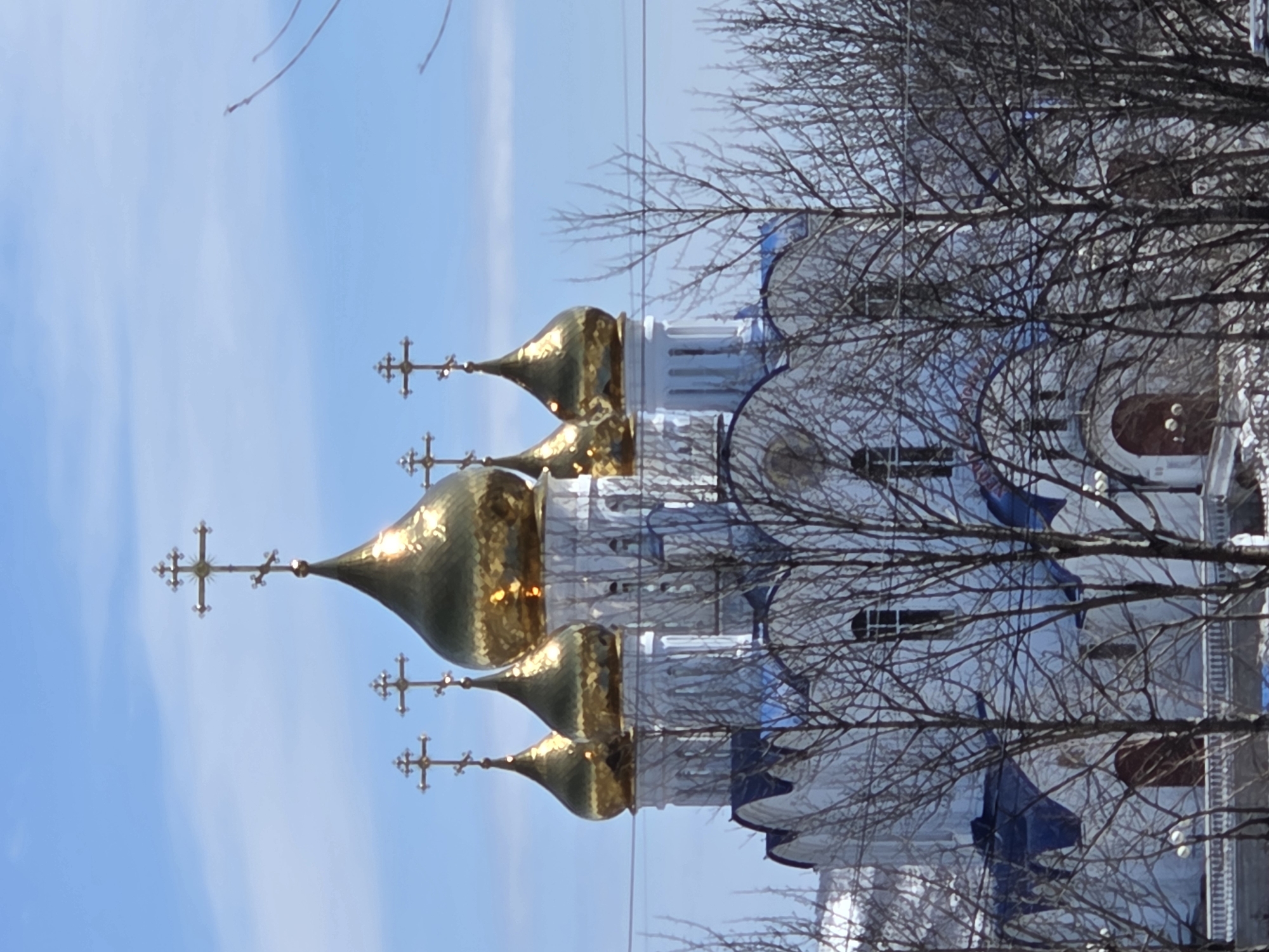 The image depicts a building, possibly a church, in Unknown, Unknown. The architecture features golden domes with crosses atop, set against a backdrop of a partly cloudy blue sky. Bare tree branches obscure portions of the building. The building's exterior appears to be predominantly white with possible blue accents. No people are visible in the frame.