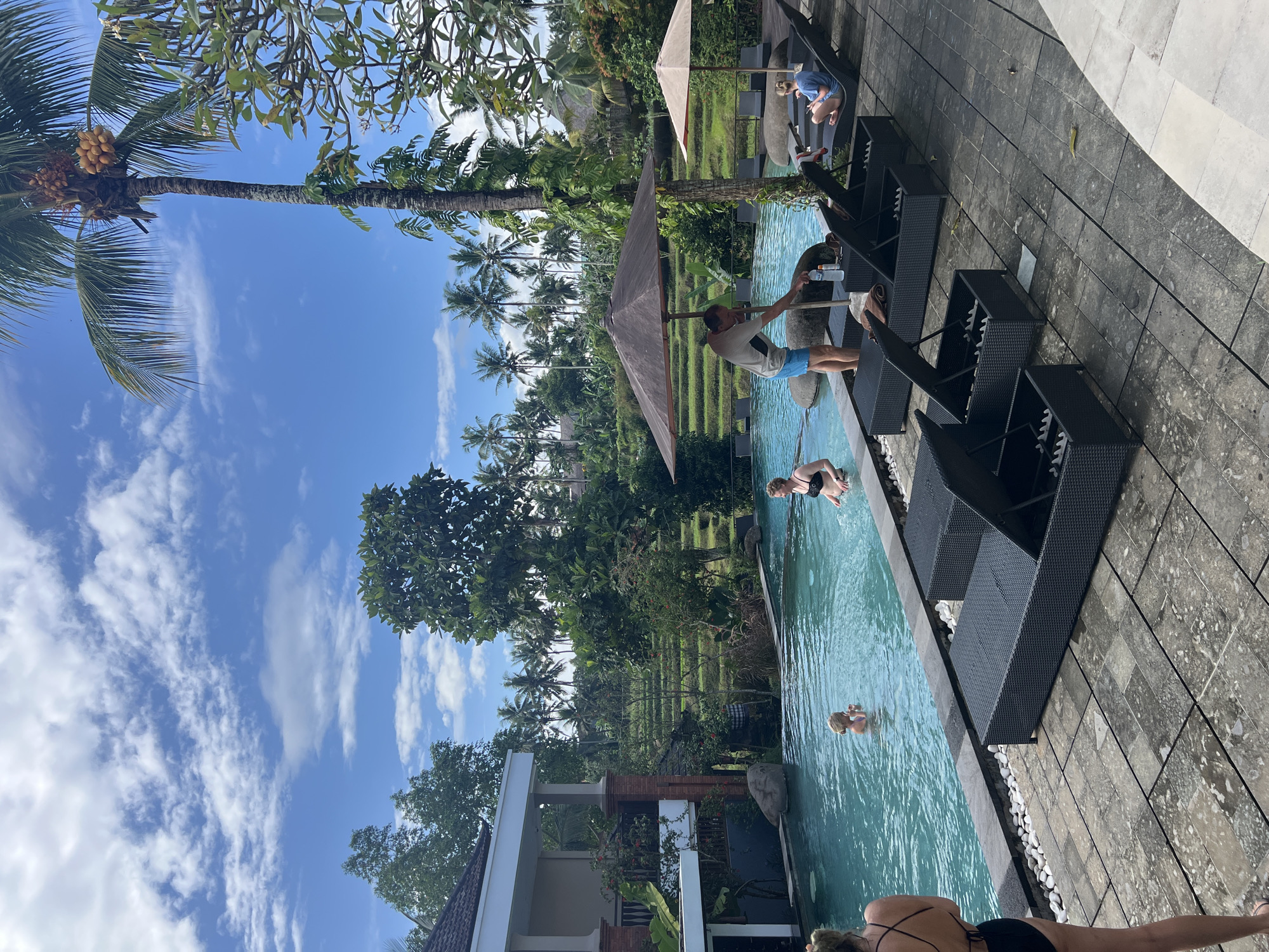 This media file captures a vibrant, sunny outdoor scene, likely a resort or villa area in Ubud District, Indonesia. The image is rotated 90 degrees counter-clockwise, showing a horizontal swimming pool bordered by dark-tiled decking and lounge chairs.
**Subjects:**
Several people are visible enjoying the pool area. Two individuals are swimming or lounging in the light blue water; one woman in a black swimsuit is closer to the foreground, and another with blonde hair is further down the pool. A man in a light-colored shirt and blue shorts stands by the pool's edge, holding a water bottle. Another person, possibly a child, in a light blue top, is seated on a lounge chair by the pool. Dark, woven lounge chairs are arranged on the tiled patio, some under two brown parasols.
**Scene and Setting:**
The area around the pool is lush with tropical vegetation, including numerous tall palm trees. Beyond the immediate pool and garden, distinctive terraced rice paddies are visible, characteristic of the Indonesian landscape, particularly Ubud. Part of a building with a dark roof and white/brick elements is visible on the far left, suggesting accommodation.
**Notable Details:**
The time of day appears to be bright daytime, indicated by the clear blue sky with scattered white clouds and strong sunlight. The overall atmosphere suggests relaxation and leisure. A prominent coconut palm with yellow coconuts is visible in the upper part of the image against the sky. No discernible text is visible in the frame. The scene conveys a sense of tranquility and a vacation setting amidst nature.