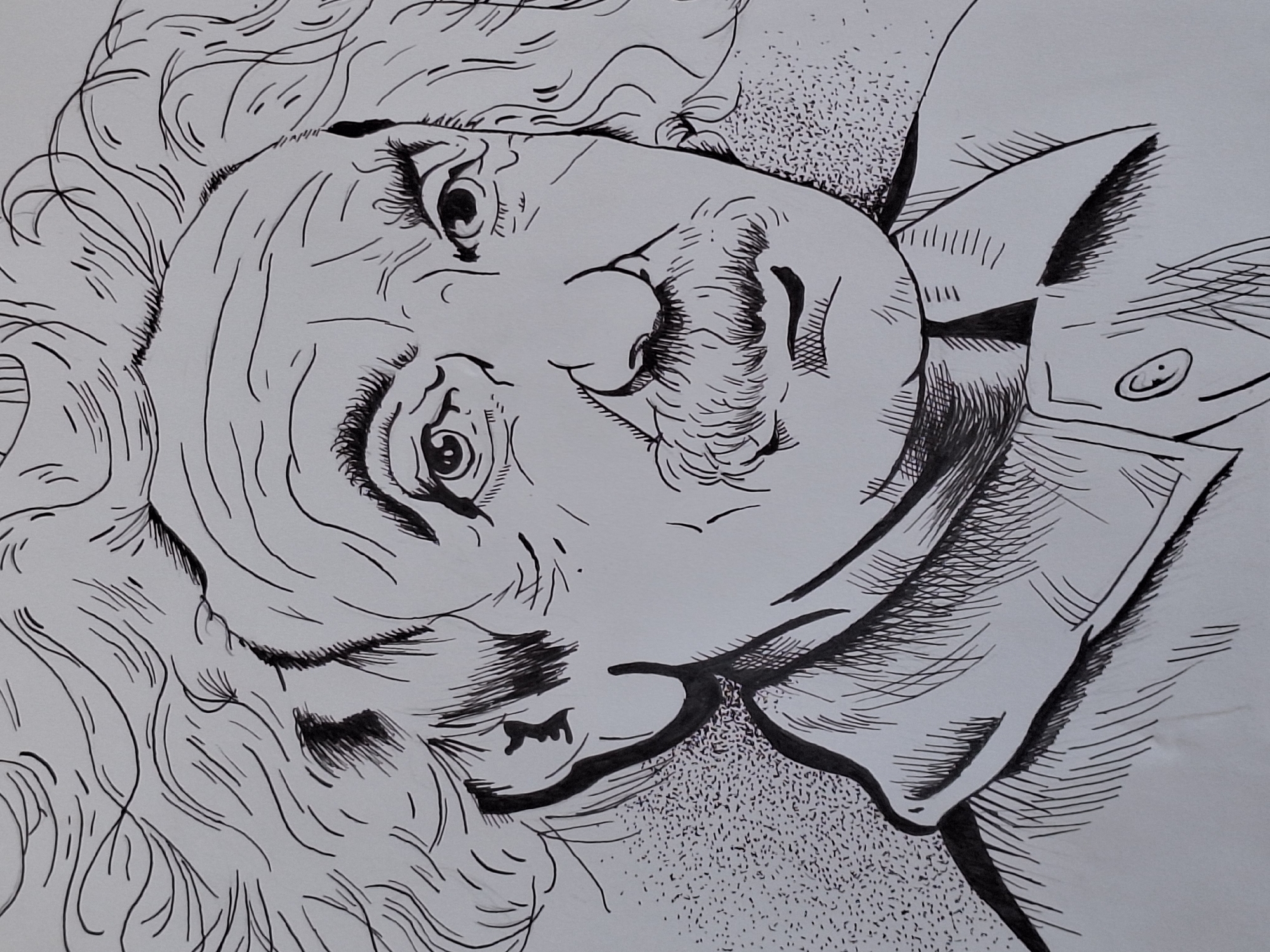 The image is a black and white ink drawing of Albert Einstein's face. It is a close-up portrait, focusing on his head and shoulders. His signature wild hair is depicted with flowing lines, and his facial features, including his mustache, eyes, and wrinkles, are rendered with bold strokes. The background is sparsely detailed, with some stippling on the left side of his face and neck, and hatching on his collar and shirt. There is no discernible city or location information in the drawing.