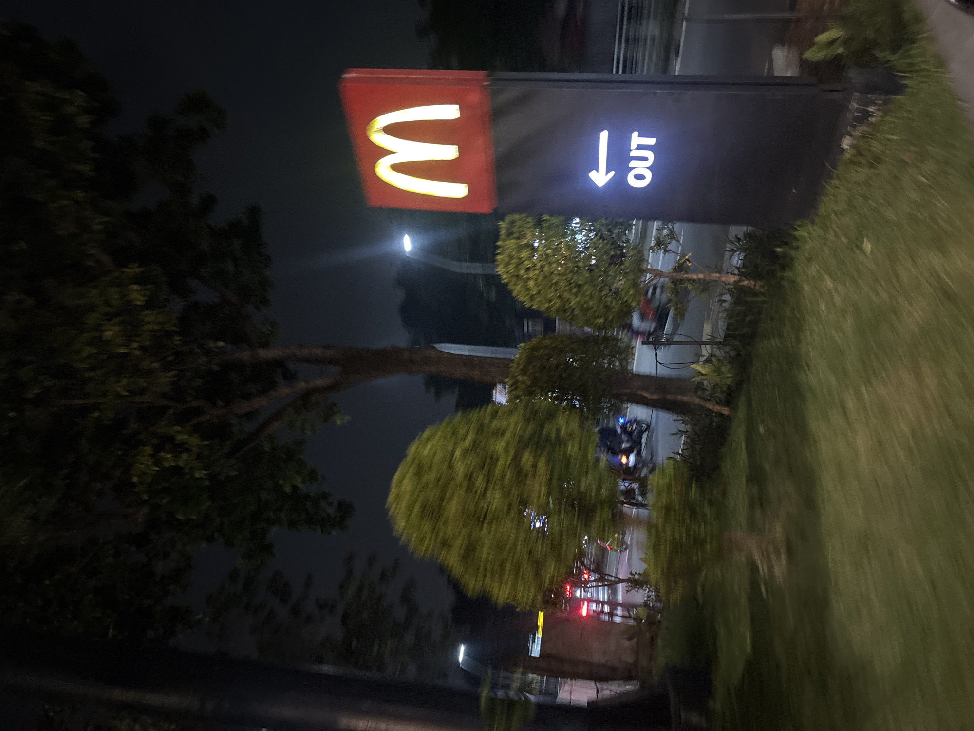 The image depicts a nighttime outdoor scene in South Tangerang, Indonesia, focusing on a McDonald's sign. The primary subject is a tall, rectangular sign featuring the iconic yellow "M" logo on a vibrant red panel. Attached to its right is a black sign board displaying the word "OUT" in bright white uppercase letters, with a white downward arrow indicating an exit.
The sky is dark, typical of night, and the signs are brightly illuminated, casting a glow on the immediate surroundings. Lush green trees and bushes are visible on both sides of the sign, contributing to the natural landscape of the area. A large, dark tree occupies the left side of the frame, while other foliage partially obscures the background. Faint artificial lights and blurred shapes, possibly vehicles or distant structures, can be seen in the background, suggesting a road or drive-thru area. The image exhibits a slight motion blur, particularly in the foliage and distant elements, implying it was taken from a moving vehicle or with a shaky hand.