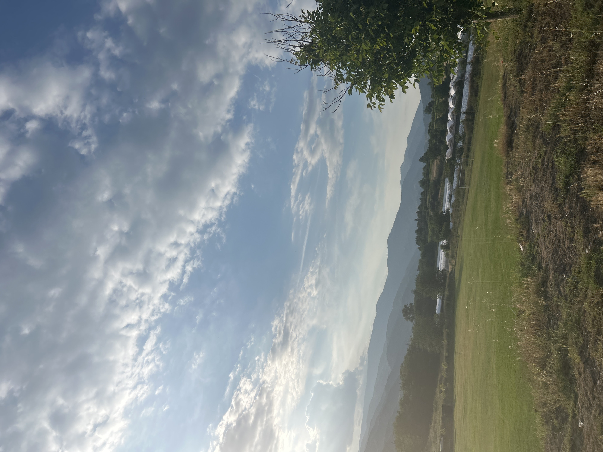 This image depicts a wide outdoor landscape in the city of Unknown, Unknown, under a partially cloudy sky. The upper two-thirds of the frame are dominated by a bright blue sky with scattered white and light gray cumulus clouds. Sunlight, originating from the left, creates a bright glow and haze in the upper left quadrant of the sky and over the distant landscape.
Across the midground, a series of layered mountains, appearing hazy and bluish-gray, stretch horizontally from left to right, forming the horizon. Below the mountains, a strip of darker green foliage, consistent with trees and bushes, is visible. To the right of the frame, partially obscured by trees, a cluster of white, arched structures, indicative of greenhouses or agricultural tunnels, is clearly visible.
In the lower left and center, a large, rectangular field of vibrant green, short-cut grass occupies a significant portion of the midground, possibly a sports field, with a white goal frame faintly discernible at its far end. The immediate foreground is characterized by dry, uneven terrain covered with a mix of brown, yellow, and some green grasses and weeds. On the far right edge of the frame, a deciduous tree with dense green foliage occupies the lower to upper right, with some bare branches extending upwards from its crown. No individuals or active subjects are present in the scene.