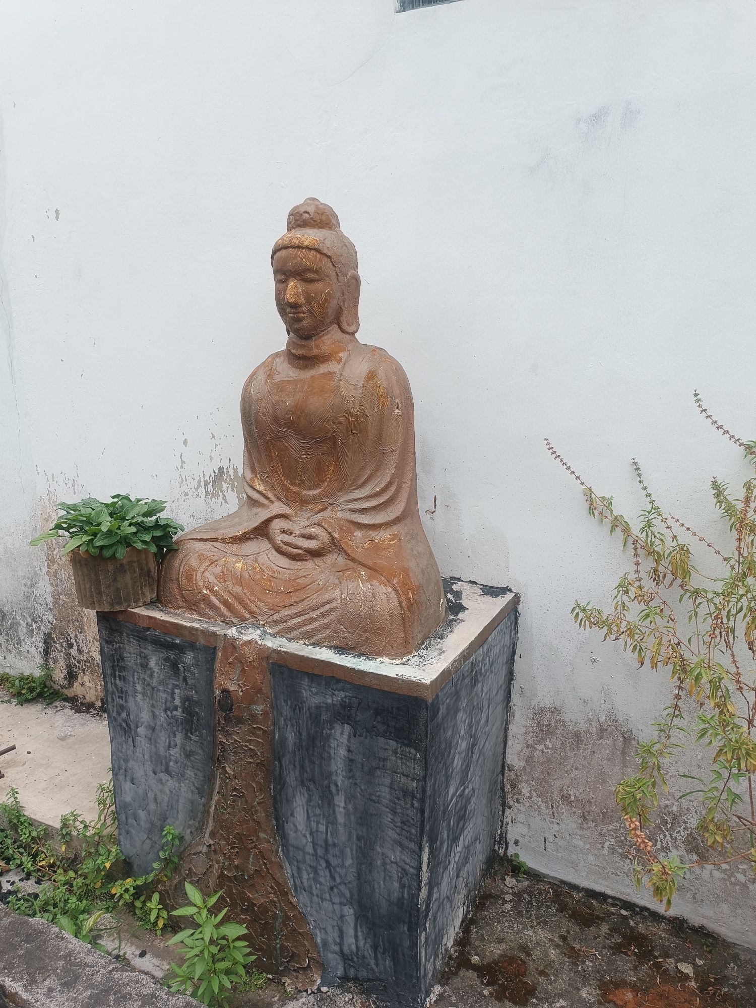 A statue of Buddha sits in a meditative pose on a weathered stone pedestal in an outdoor setting, likely a garden or courtyard. The statue, made of a reddish-brown material, is adorned with gold accents and rests against a white, textured wall. To the left of the statue, a small potted plant with green leaves sits on the pedestal. The ground around the pedestal is a mixture of concrete and dirt, with sparse vegetation. To the right, a dry, spindly plant with small leaves grows near the wall. The overall scene suggests a tranquil, possibly spiritual, outdoor space. The location is identified as the city of Yogyakarta, Indonesia.