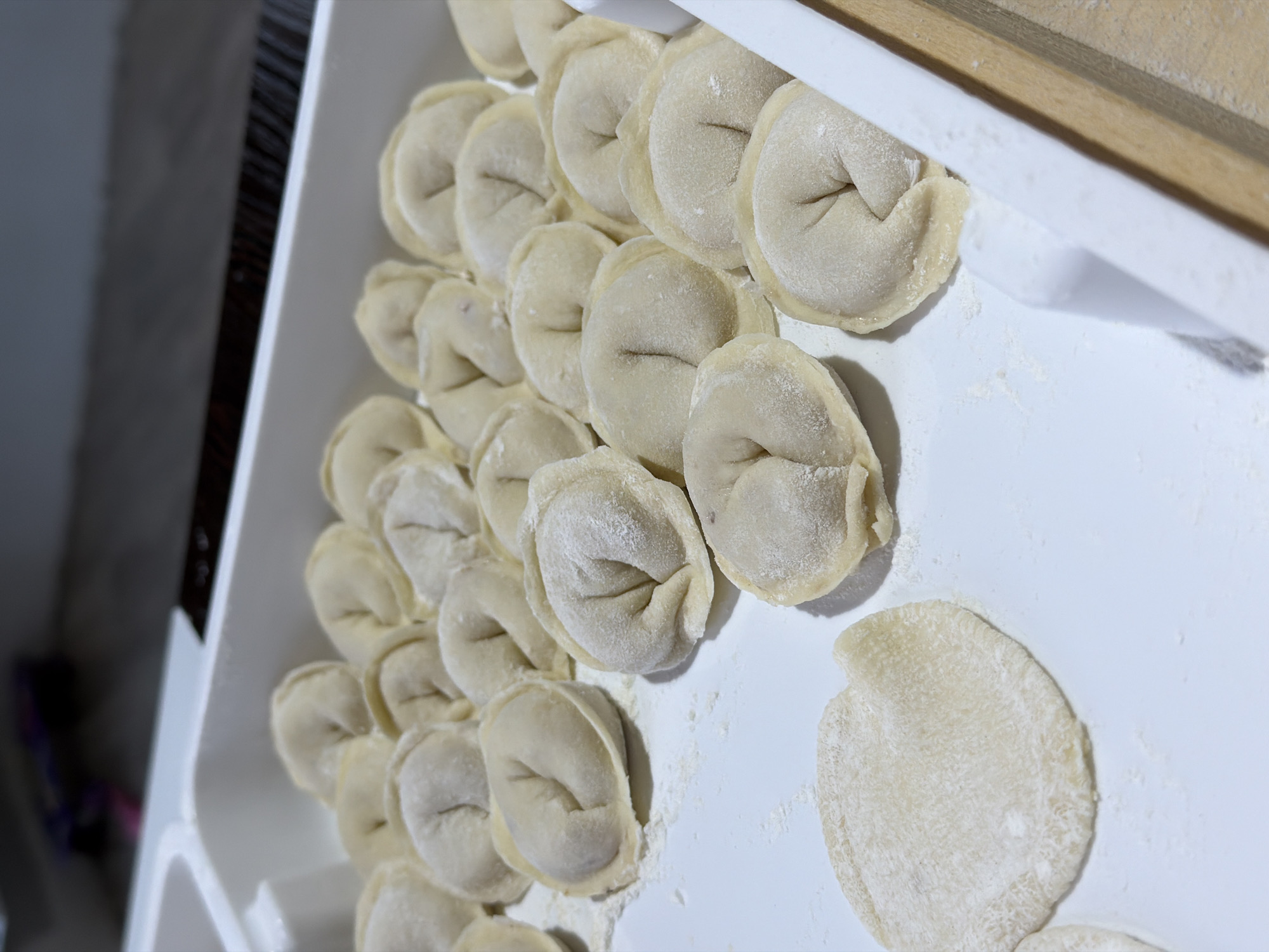 A high-angle shot shows a white tray filled with numerous uncooked dumplings (pelmeni). The dumplings are round, pinched in the center, and lightly dusted with flour. A few uncooked dough circles lie adjacent to the dumplings. The tray appears to be inside a kitchen, as indicated by the countertops visible in the background. The image was taken in Chaikovsky, Russia.