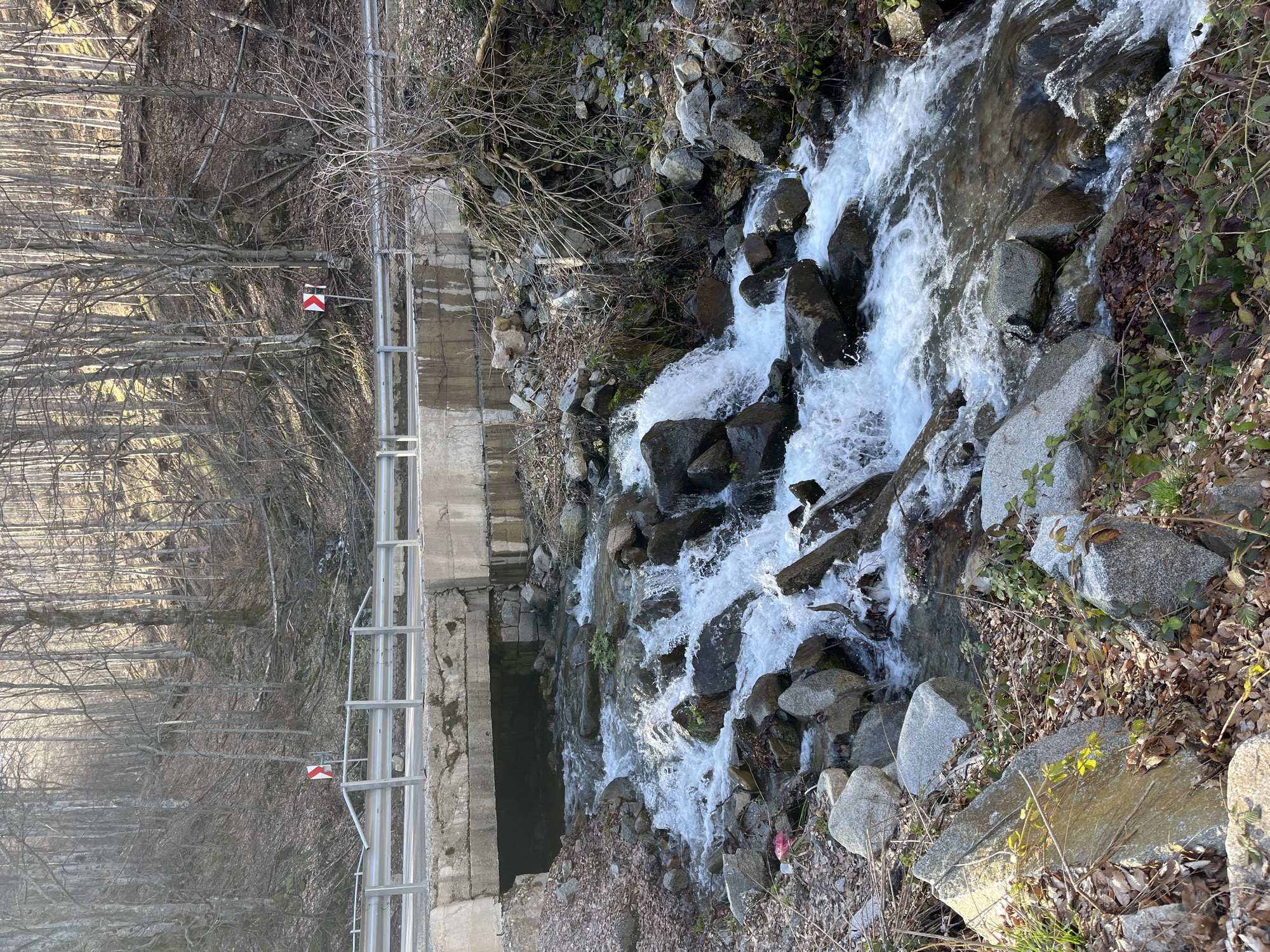 The image shows a cascading stream flowing under a concrete bridge or culvert. The stream is rocky and the water is turbulent. A metal safety rail is installed on the bridge. The surrounding area appears to be wooded with bare trees and scattered leaves on the ground. There are no people visible in the image. The scene is located near Barziya, Bulgaria, based on the prompt's instructions.