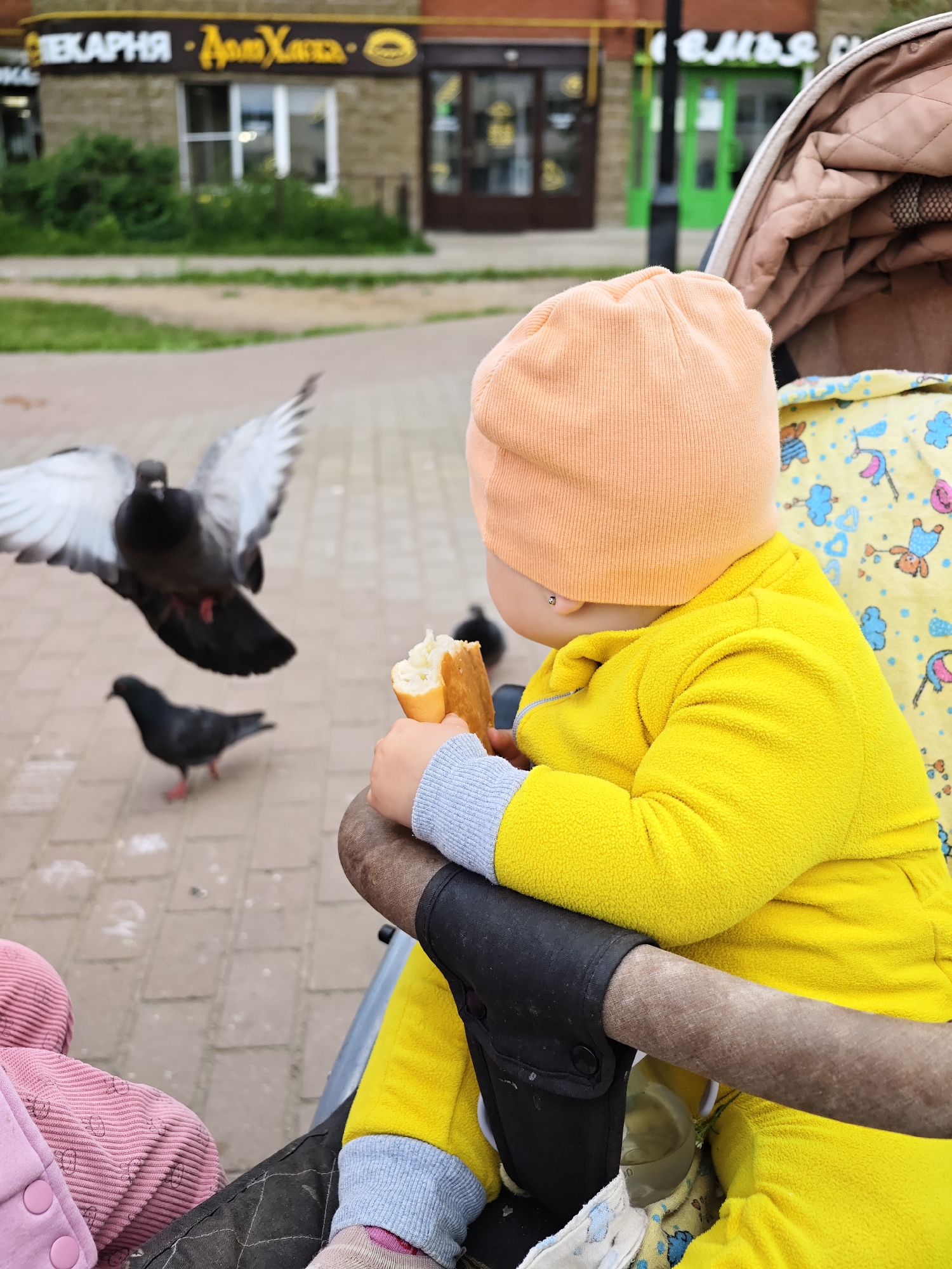 The image depicts a close-up view of a toddler seated in a stroller, facing away from the camera. The toddler is wearing a bright yellow hooded outfit and a light orange beanie. They are holding a piece of bread in their hands, seemingly in the process of eating it. In the background, two pigeons are visible. One pigeon is in mid-flight with its wings spread, while the other is on the ground. The setting appears to be an outdoor urban environment, with a paved walkway and buildings in the distance. The buildings have signage in Cyrillic script, suggesting a Russian location. Specifically, the signage on the building to the left reads "ПЕКАРНЯ • Дом Хлеба", which translates to "Bakery • Bread House". This type of establishment is common in Russian cities. Given the visual context, this scene is likely taking place in the city of Chaikovsky, Russia, possibly near a local bakery or park.
