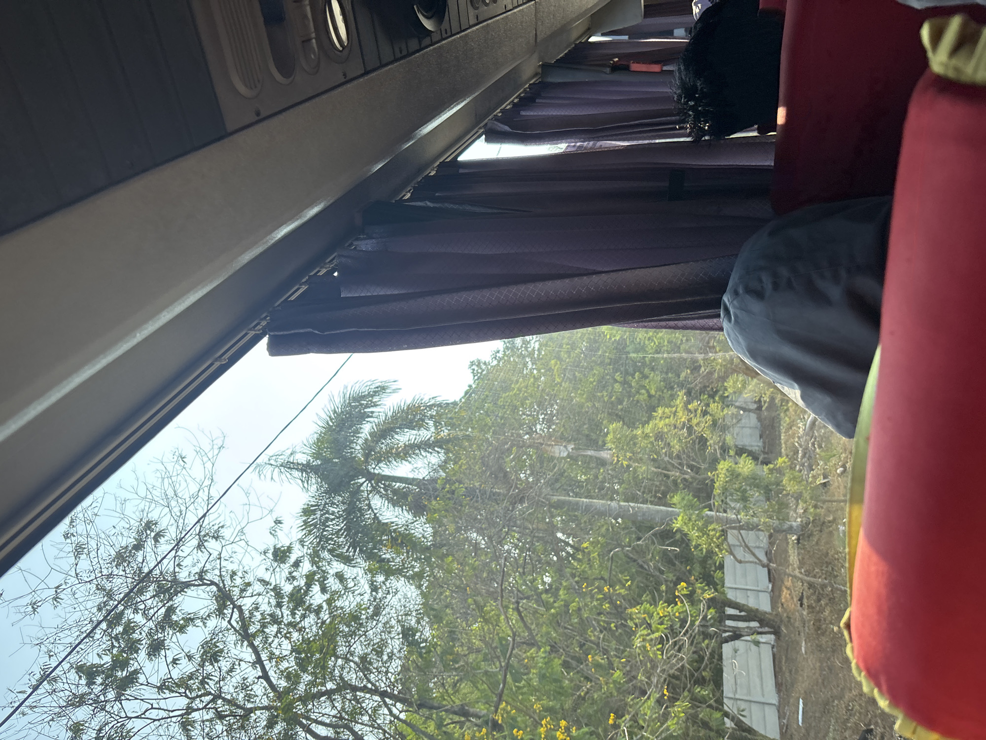 The image, captured from inside a bus, shows a view through the window of a tree-lined landscape with a clear sky. The bus interior features red-upholstered seats, with a person's head and shoulders covered by a gray fabric, and another person's head with dark curly hair visible further back. Dark purple curtains are drawn along the window. Outside, lush green trees, including a tall palm tree, are visible. In the background, a low, light-colored concrete wall runs along the edge of the road. The sunlight suggests it is daytime. The location in Purwakarta, Indonesia, implies this scene is representative of the natural surroundings of the city, possibly during a journey through its outskirts or rural areas.