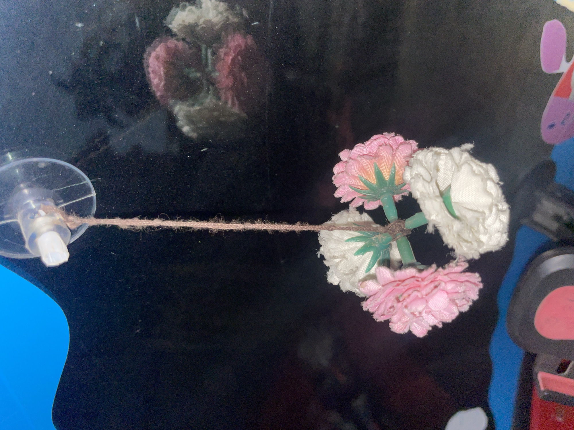 The image displays a decorative arrangement of artificial flowers against a dark, reflective background. On the left, a clear plastic suction cup is adhered to the surface, from which a light brown, braided string extends horizontally. This string leads to a cluster of small, fabric artificial flowers.
The flowers are predominantly in shades of pink and white, featuring visible green plastic stems. Three main flowers are central to the cluster: two white and one pink, with another pink flower positioned slightly below. The dark background, possibly glass or a highly polished surface, clearly shows reflections of these artificial flowers in the upper left quadrant of the image.
Partial views of other objects are visible. A bright blue, curved object is present in the bottom left corner. On the right side, colorful shapes in purple, pink, and red are partially visible, suggesting other decorative elements or objects on or behind the reflective surface.
The image is a static capture of these objects. There are no people, visible activities, or discernible text. The time of day and weather cannot be determined from the image content. The scene depicts generic decorative items in what appears to be an indoor setting.