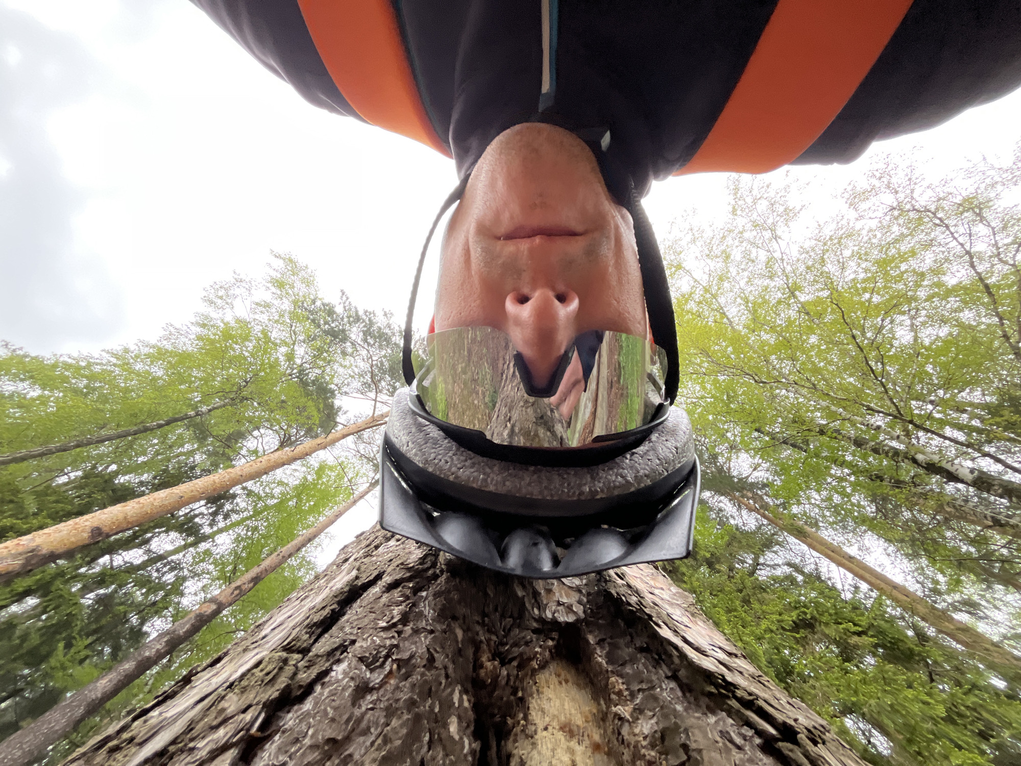 The image is an upside-down, low-angle shot taken outdoors. A person is oriented downward, wearing a black and orange jacket, a black helmet, and reflective goggles that mirror the surrounding forest. The focus is on the person's face and the helmet pressed against the bark of a large tree trunk. The background includes tall, slender trees with green foliage reaching towards an overcast sky. The reflection in the goggles shows trees and the surroundings. The location is likely in a forest or wooded area, given the tree density. The city name is not evident.