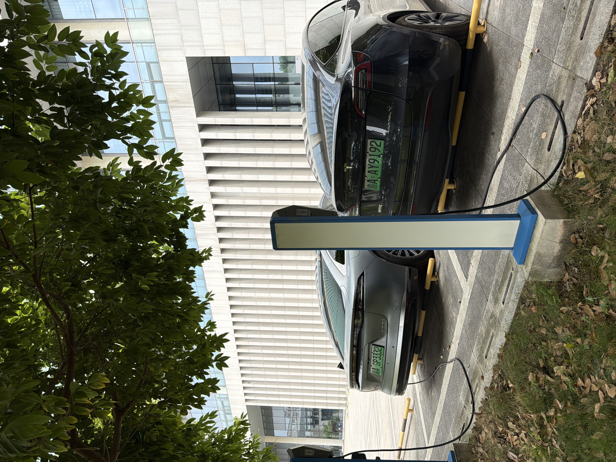 In Jiangjin, China, two electric cars are parked and connected to charging stations in front of a modern building with vertical white panels. The car on the left is a light gray sedan with a license plate reading "A GP3332." The car on the right is a black Tesla Model Y with a license plate reading "A AY9192." The charging stations are tall, rectangular structures with blue and white accents, and black charging cables are visible, connecting to the cars. A tree with green leaves casts shadows over the scene. The ground is paved with concrete and there is some grass and fallen leaves. The building appears to be an office or commercial structure with large glass windows.