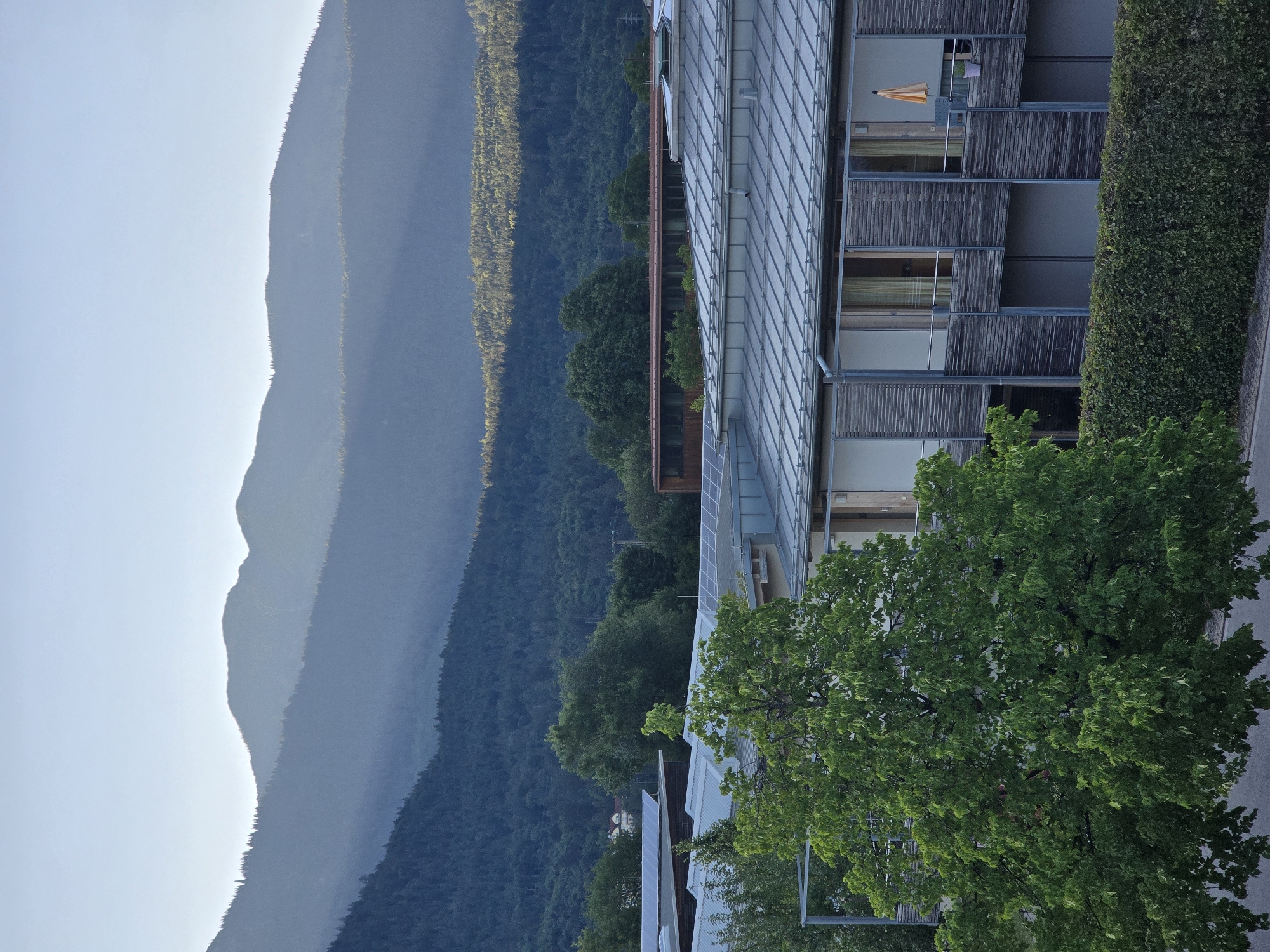 The image shows a view of mountains in the background, a dense forest covering the slopes, and buildings with modern architecture in the foreground. The buildings have flat, metallic roofs and feature wooden facades with large windows. A large, leafy green tree is prominent in the left foreground, obscuring part of the buildings. A neatly trimmed green hedge runs along the base of the buildings. The sky is clear and blue, with a gradient of lighter blue towards the horizon. The lighting suggests it is either early morning or late afternoon. The scene appears to be in a semi-urban or suburban area with a strong connection to nature, likely Garmisch-Partenkirchen, Germany, given the mountainous backdrop. No people are visible in the image.