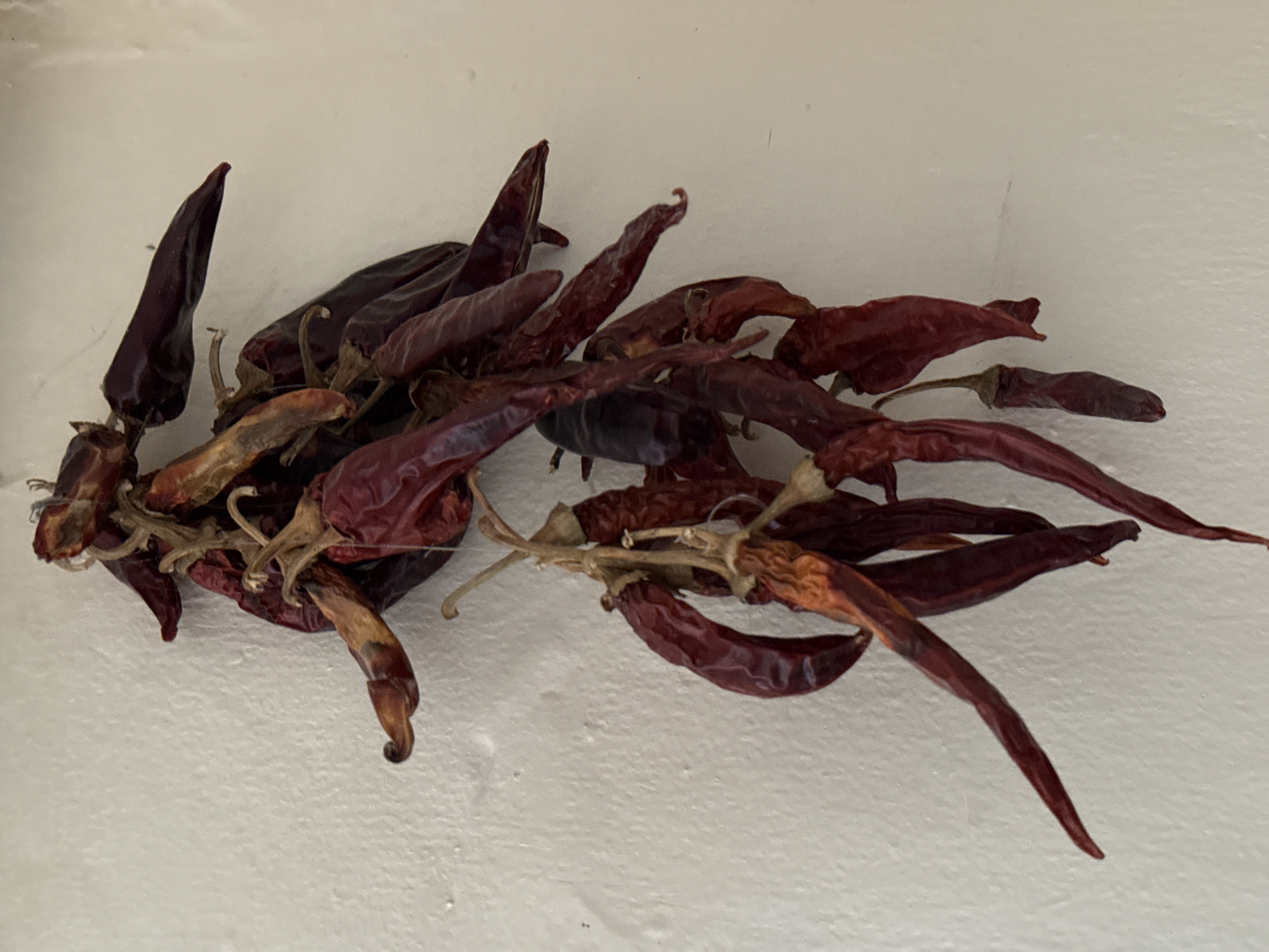 Dried red chili peppers are arranged on a textured white surface. The peppers are clustered together by their stems, with some stems visible. The image's location is not evident in the provided visual information.