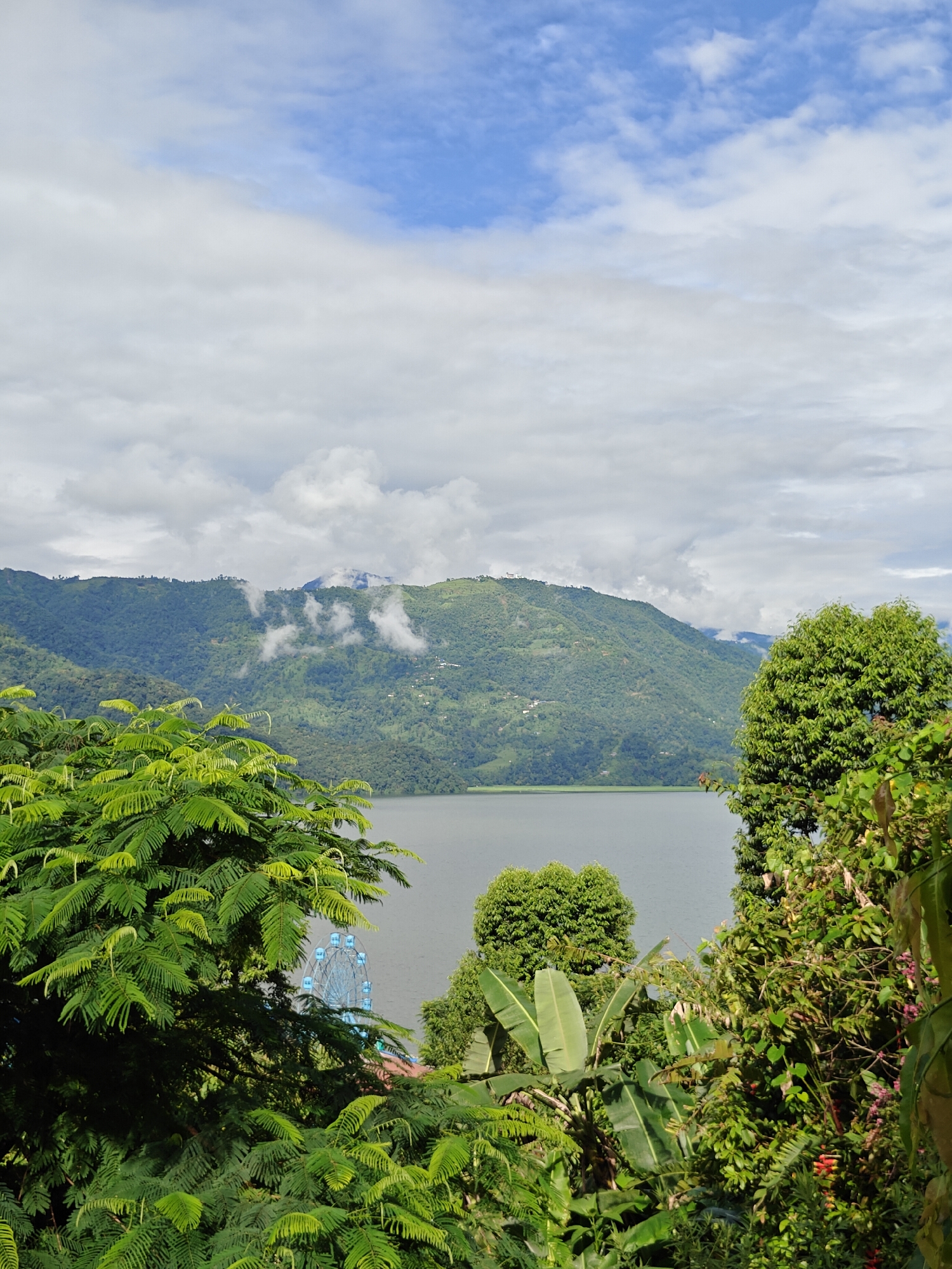 This is an outdoor, landscape photograph taken from a high vantage point, looking out over a body of water and a mountainous backdrop. In the foreground, lush green foliage dominates, with large, feathery leaves on the left and denser, varied vegetation on the right, including banana leaves and flowering plants. Partially obscured by the trees on the left, a blue Ferris wheel is visible on the far side of the lake. The lake itself is calm and reflects the overcast sky. Beyond the lake, a large, verdant mountain range rises, with patches of clouds clinging to its slopes. The sky is a mix of blue patches and white clouds. The scene appears to be of Phewa Lake in Pokhara, Nepal, with the Ferris wheel likely part of an amusement area near the lake.